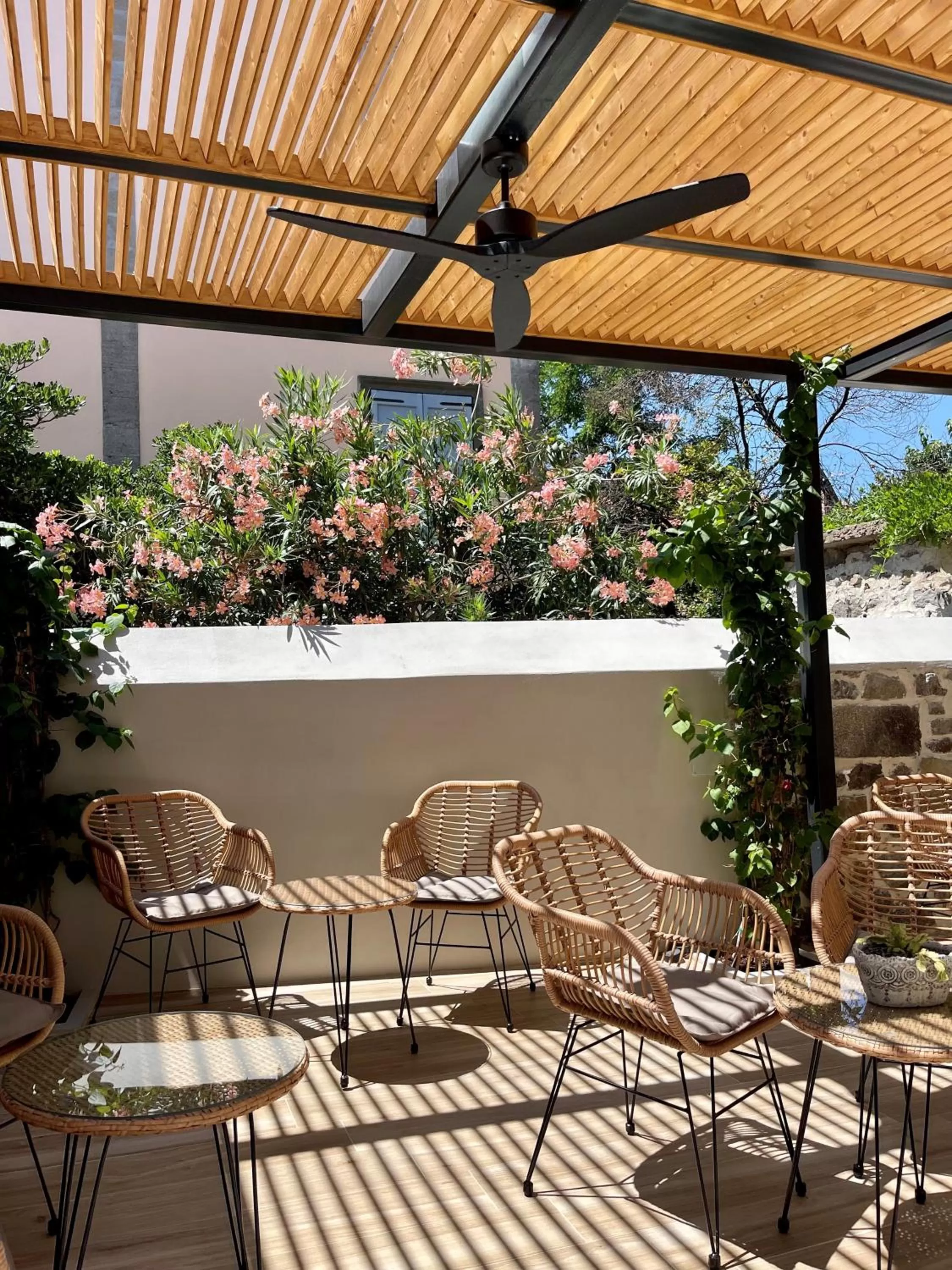 Patio in Aesthesis Arxontiko Luxury Rooms