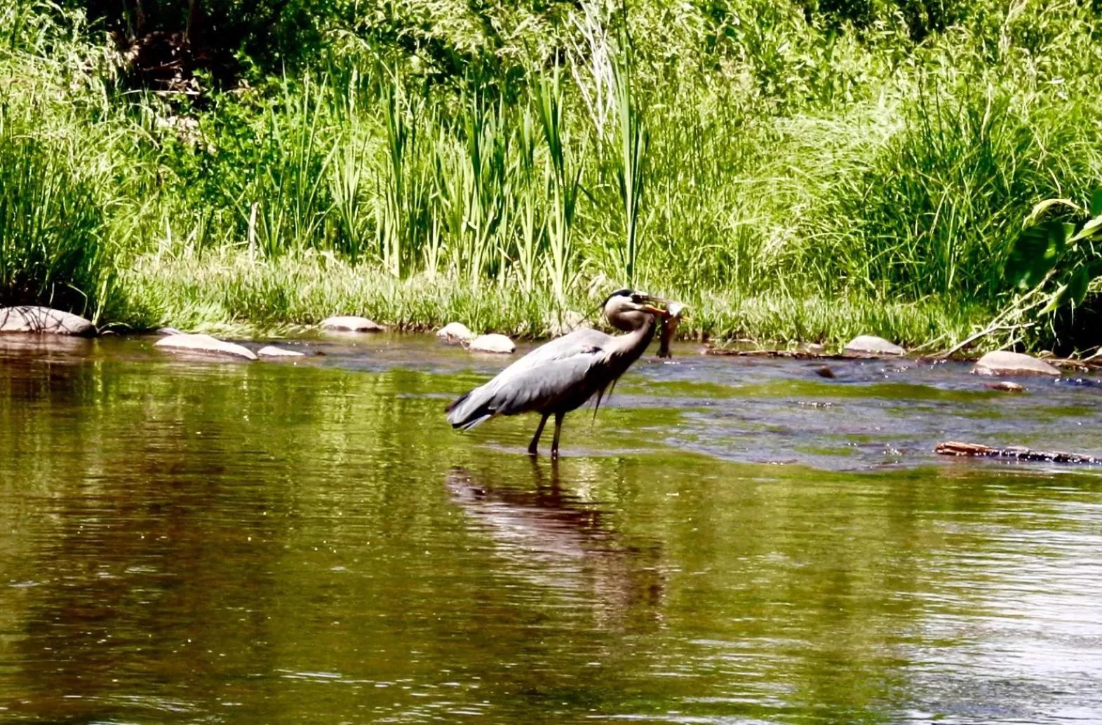 Natural landscape in Sedona Cathedral Hideaway LLC