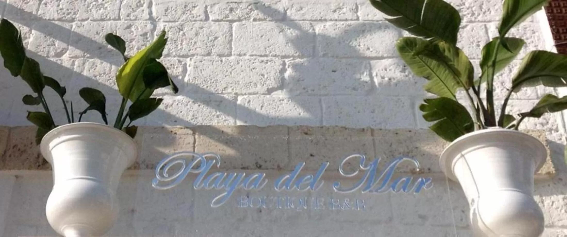 Property logo or sign in Playa del Mar - Adults Only