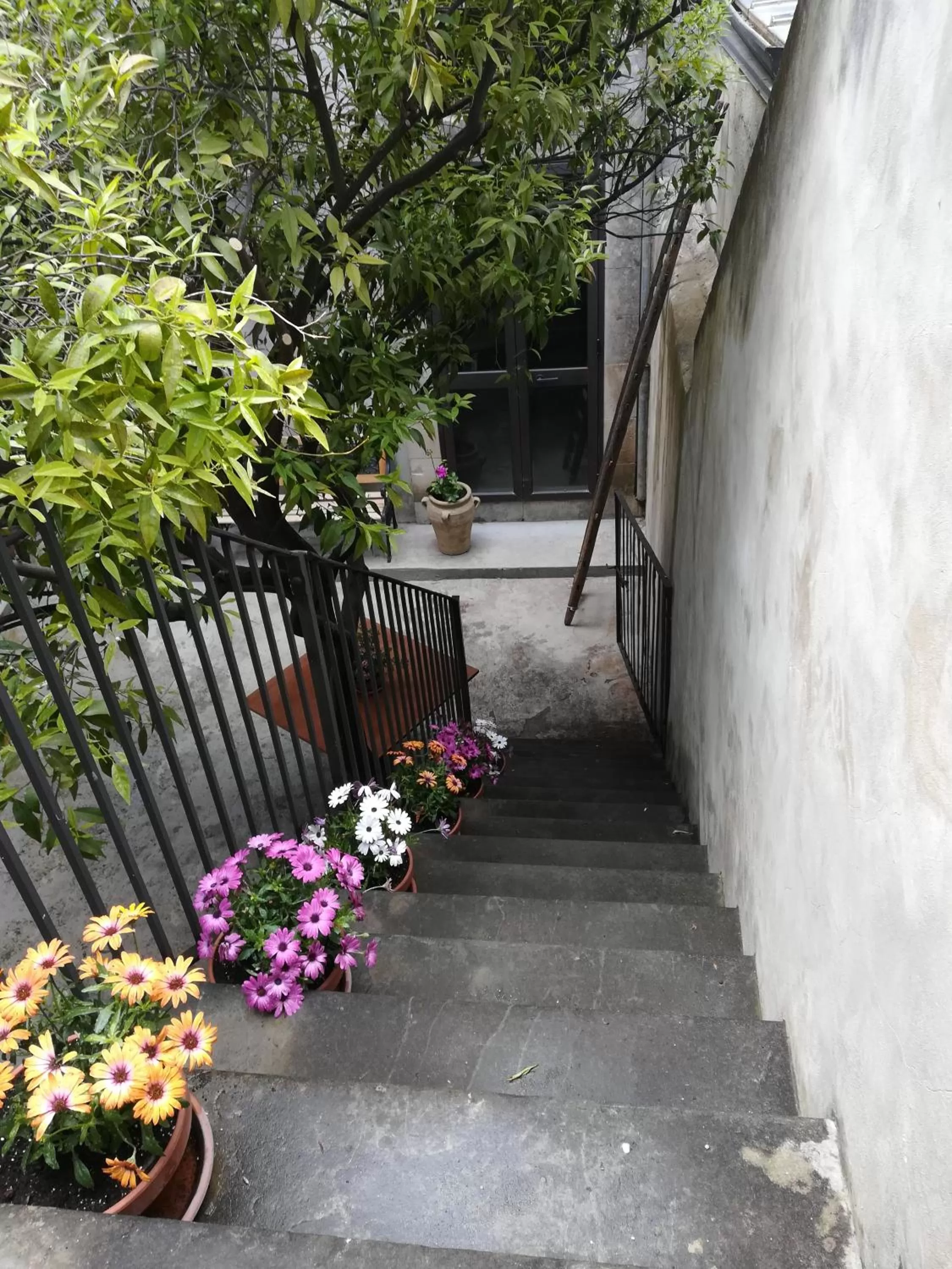 Garden in Residenza Donnafugata B&B