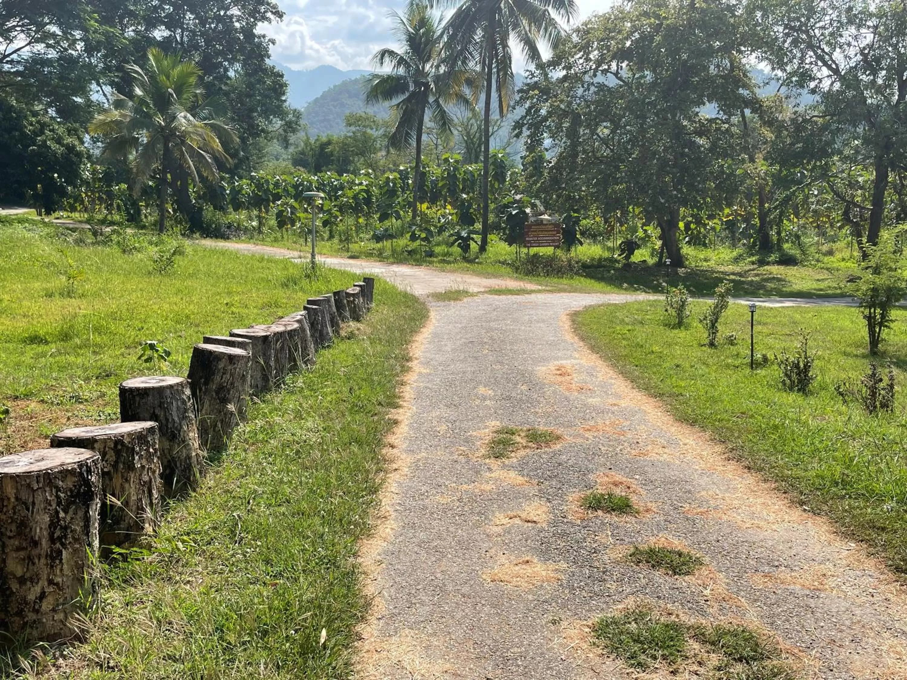 ห้วยน้ำรินรีสอร์ท The Creek Garden Resort