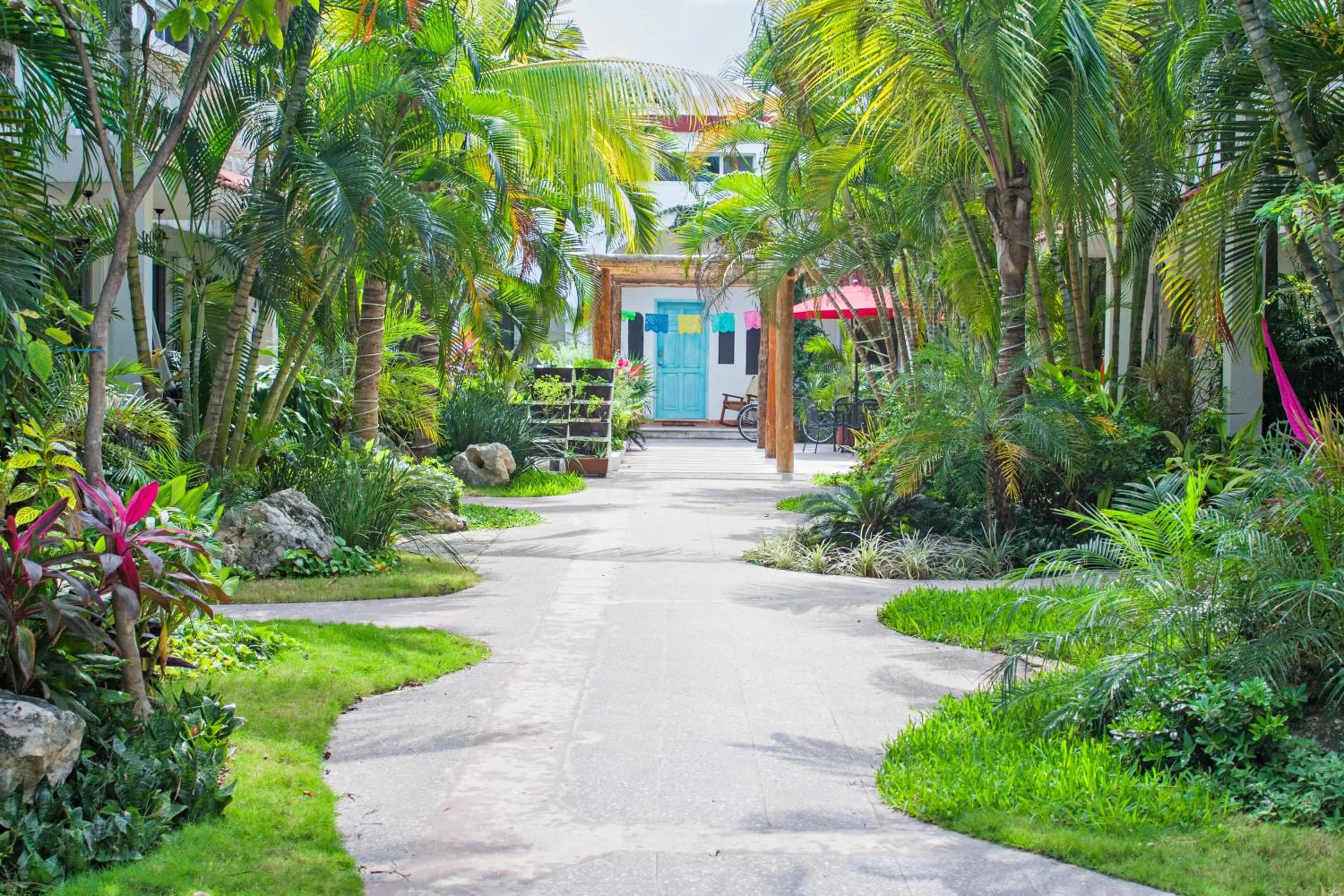 Garden in Hotel Villas Colibrí Suites & Bungalows