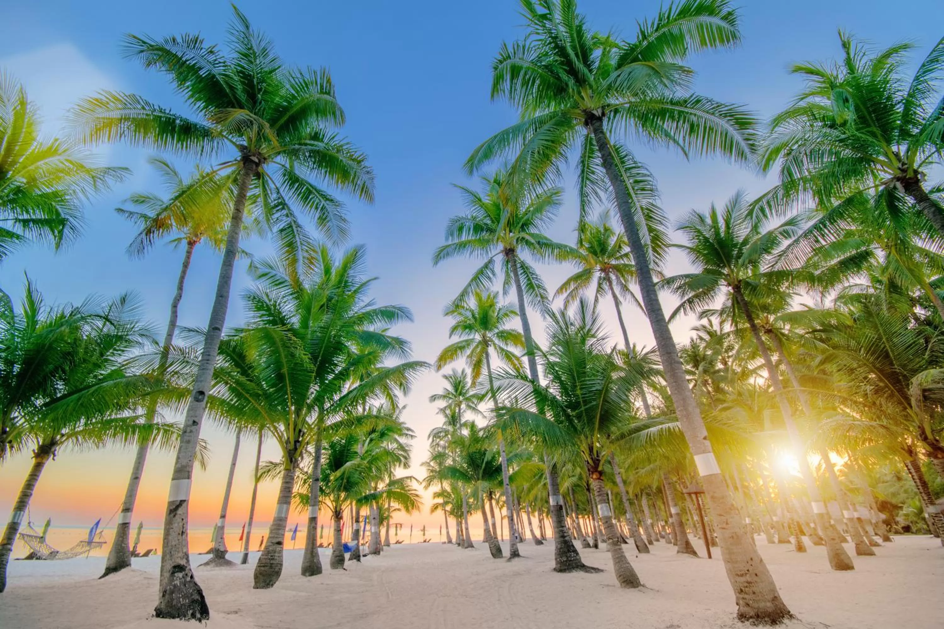 Property building in Oceanica Resort Panglao, Bohol