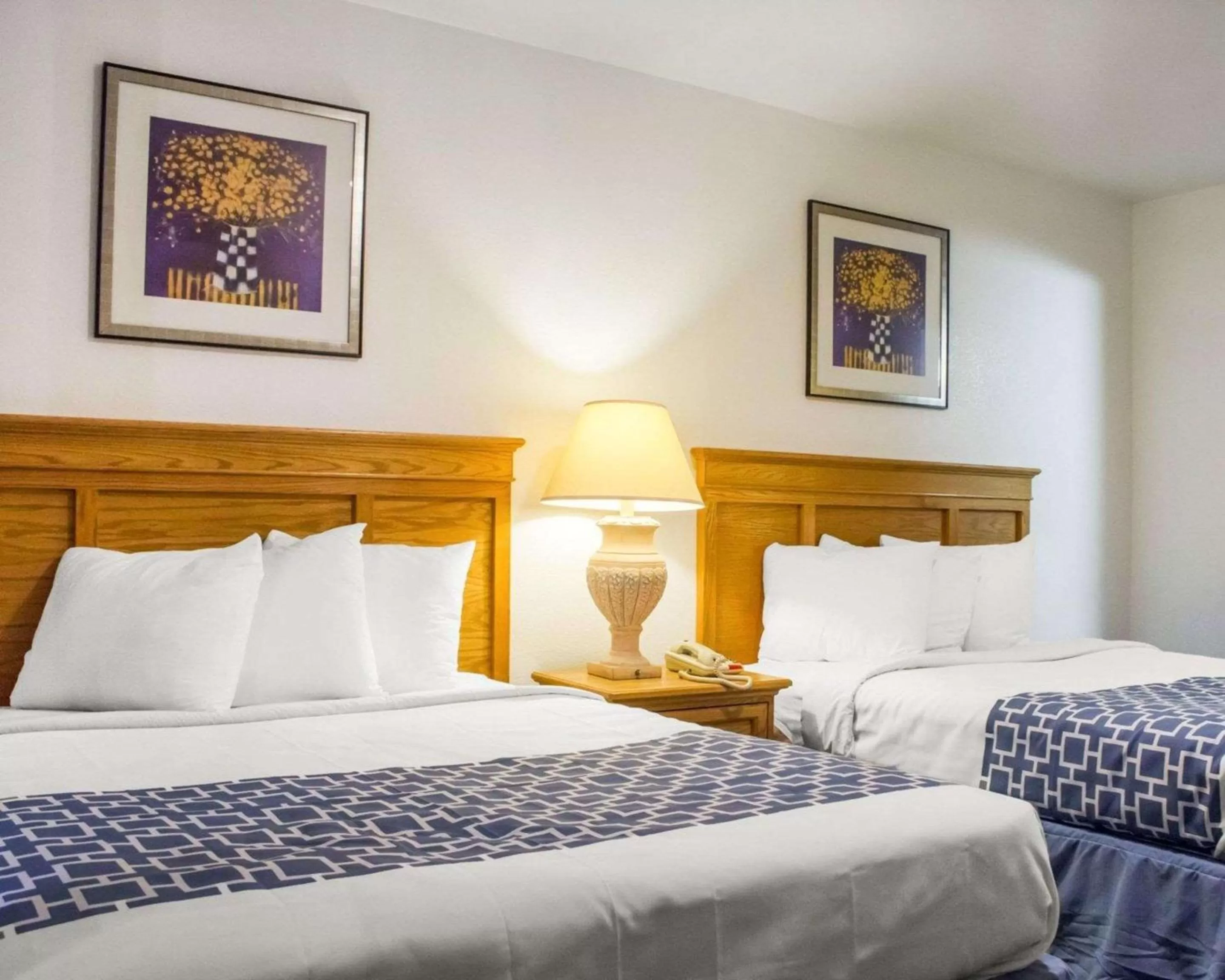 Photo of the whole room, Bed in Rodeway Inn Old Town Scottsdale