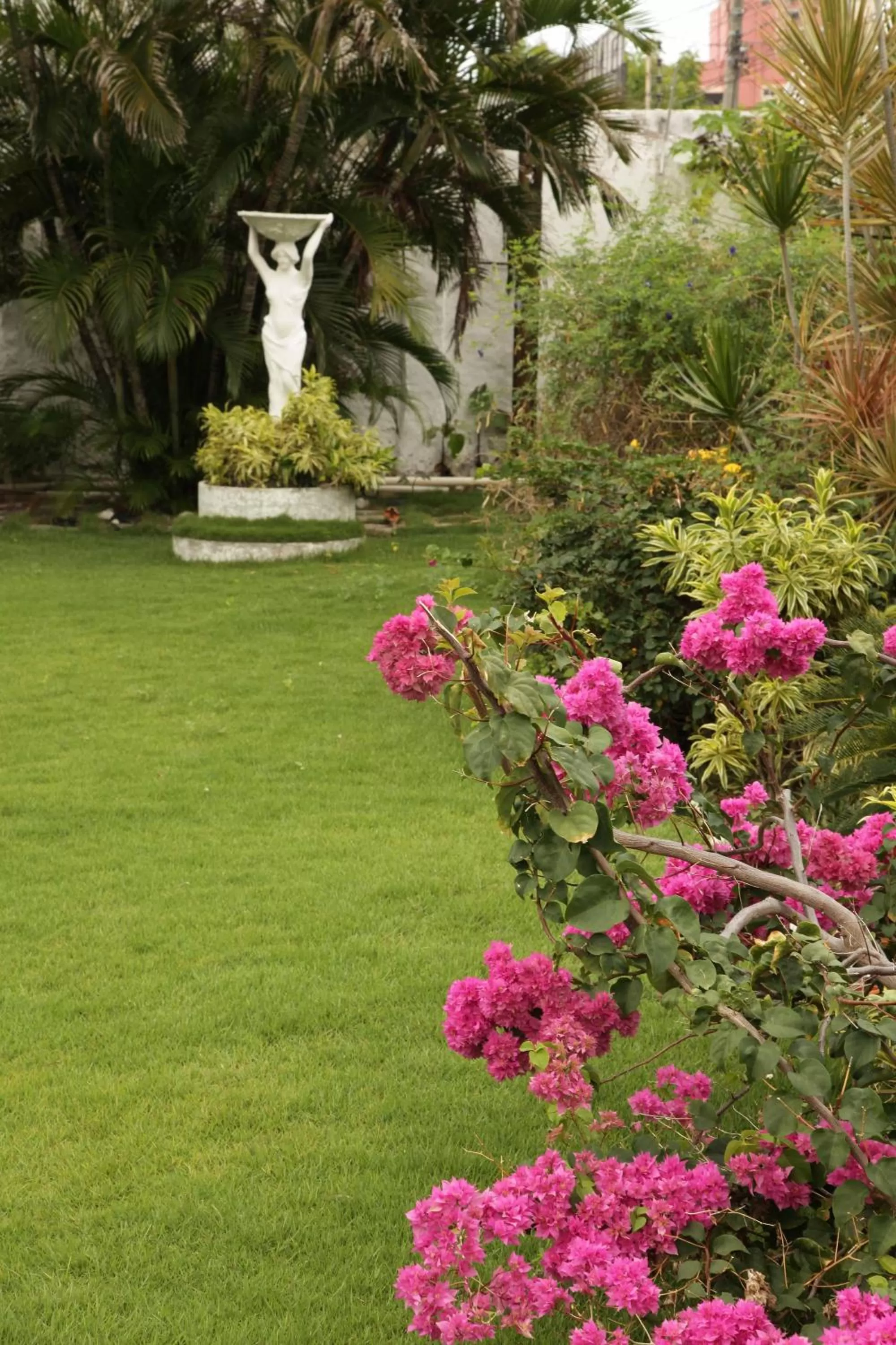 Day, Garden in Hotel Jardim
