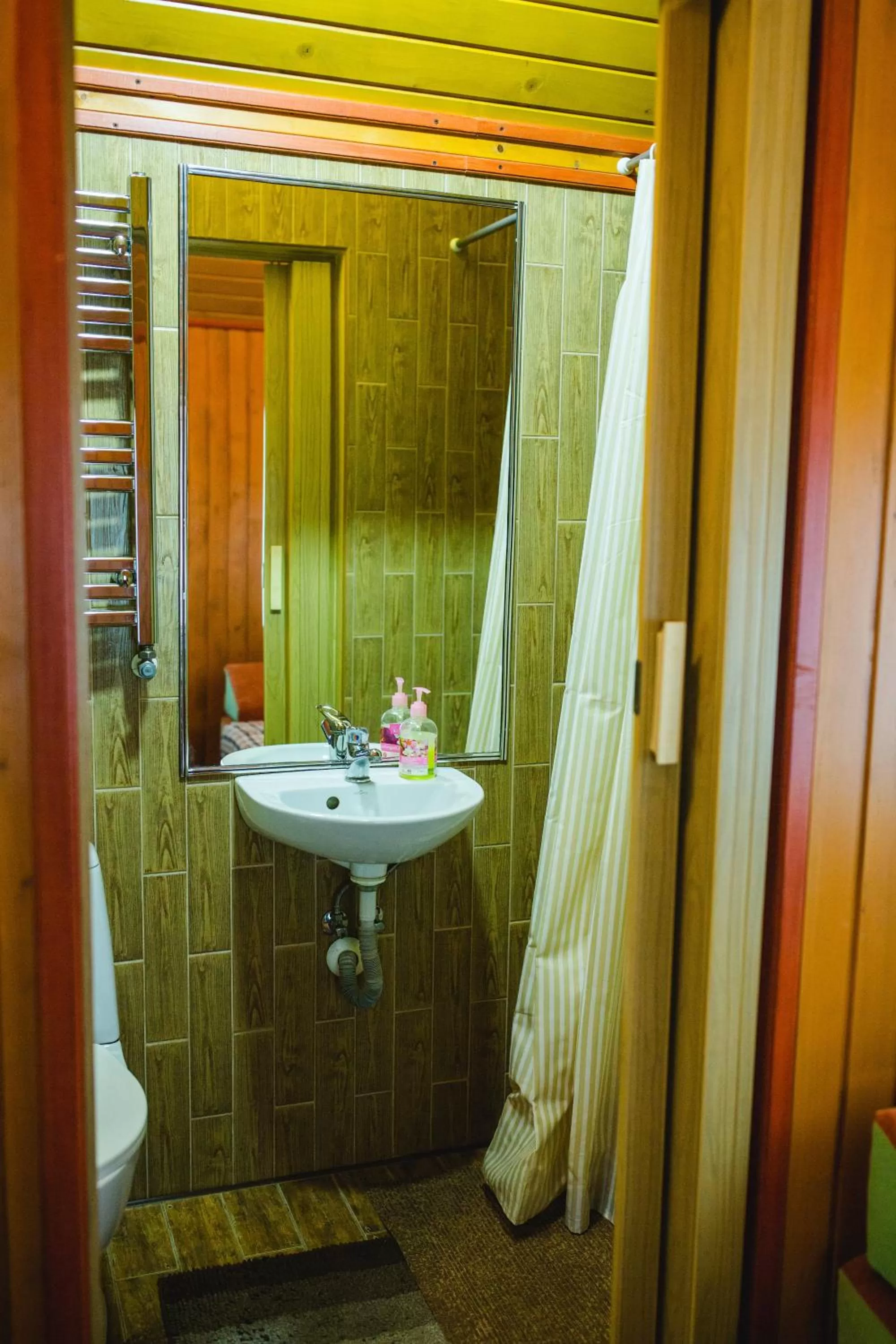 Shower, Bathroom in Kolyba Opryshkiv
