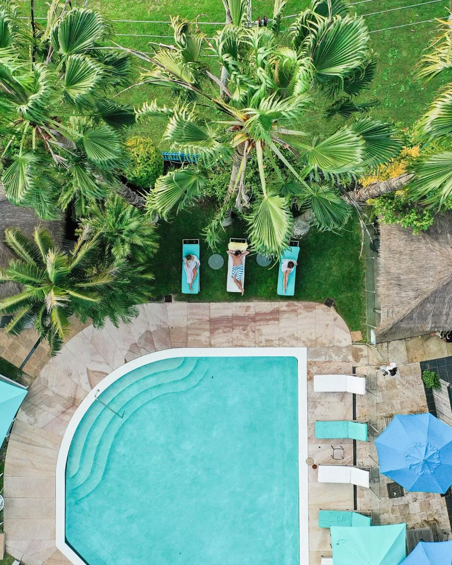 Natural landscape in Terrigal Pacific Coastal Retreat