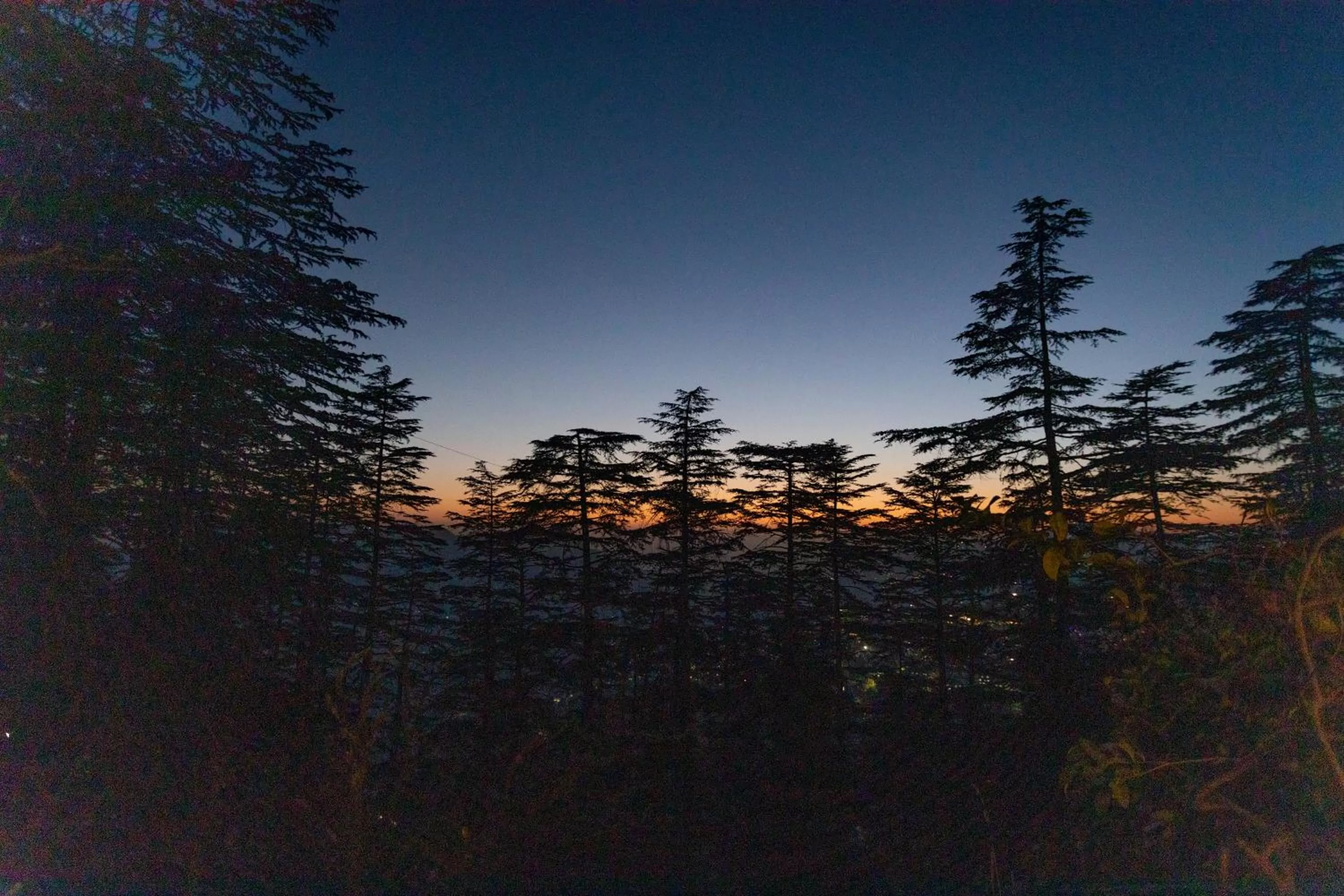 View (from property/room), Sunrise/Sunset in Seclude Shimla, Taraview