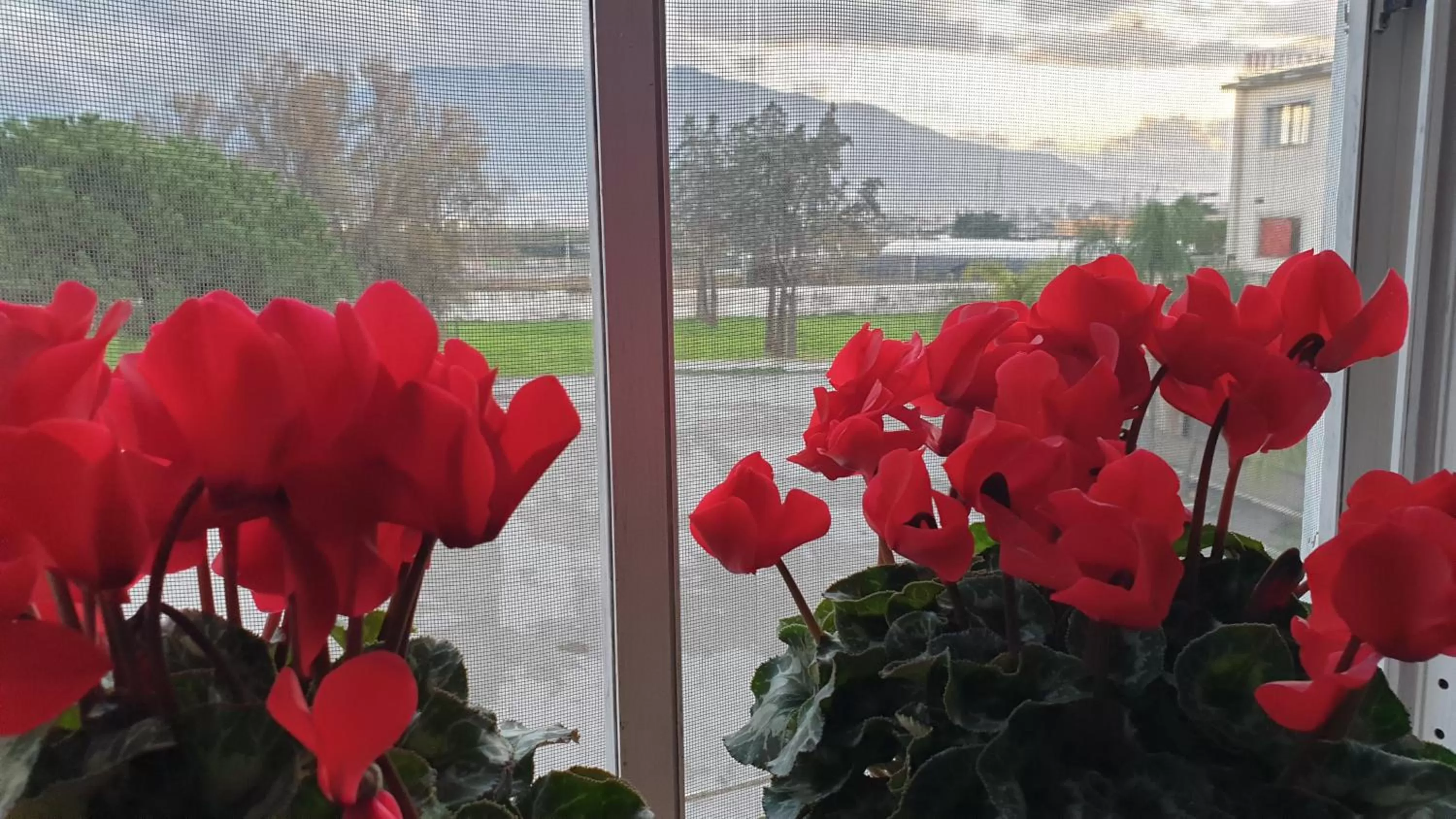 Property building in B&B oh mamma mia POMPEI