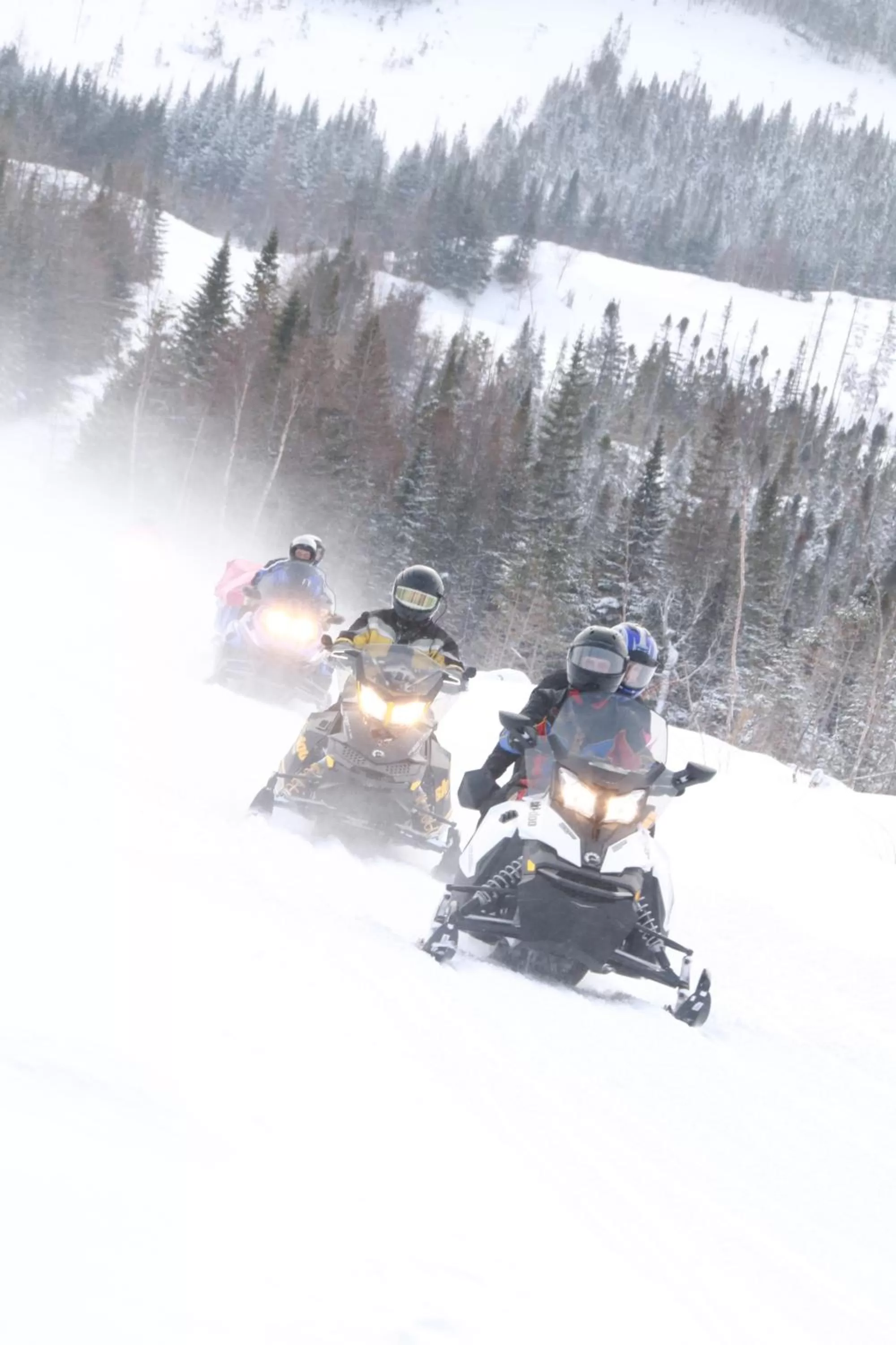 Nearby landmark in Deer Lake Horizon Hotel, BW Signature Collection