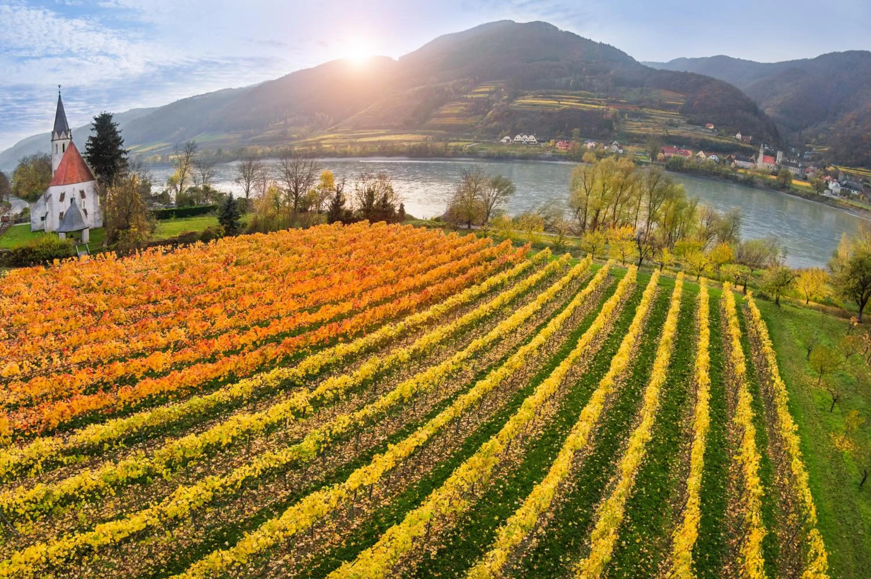 Neighbourhood in Hotel Stadt Melk