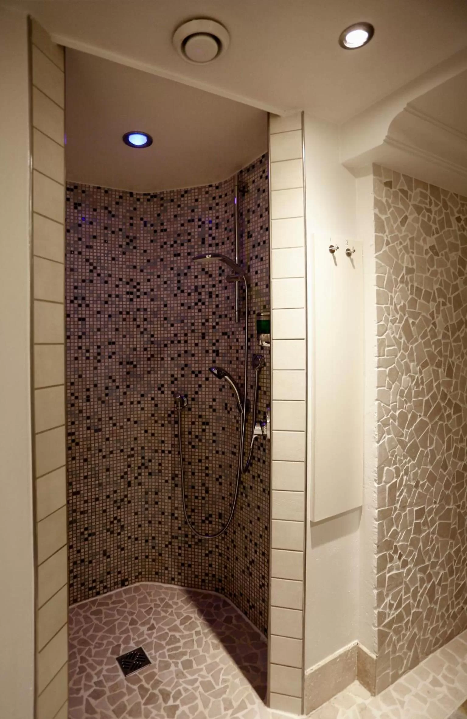 Spa and wellness centre/facilities in Villa Silva - Oberhof