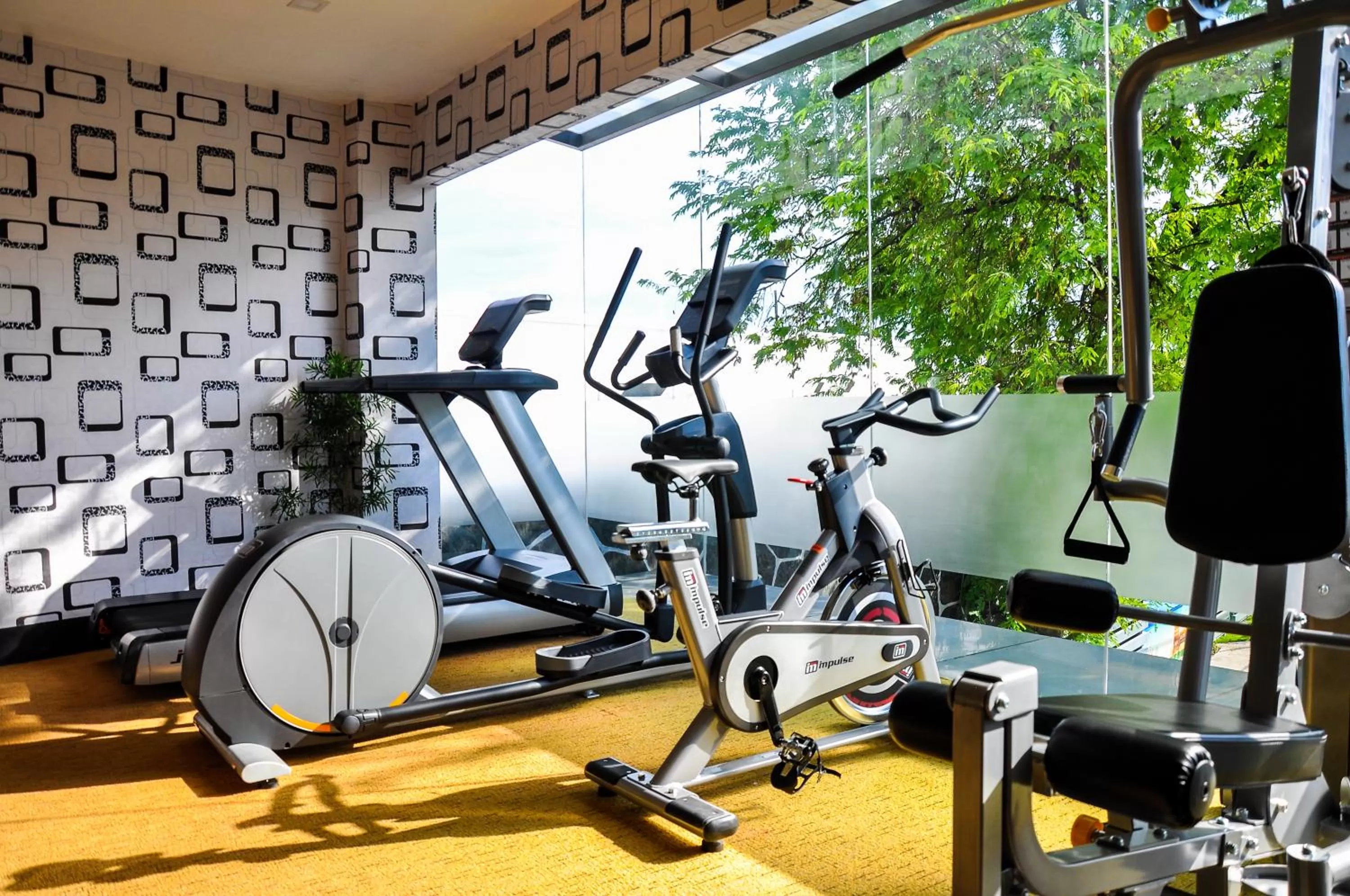 Fitness centre/facilities in Eloisa Royal Suites