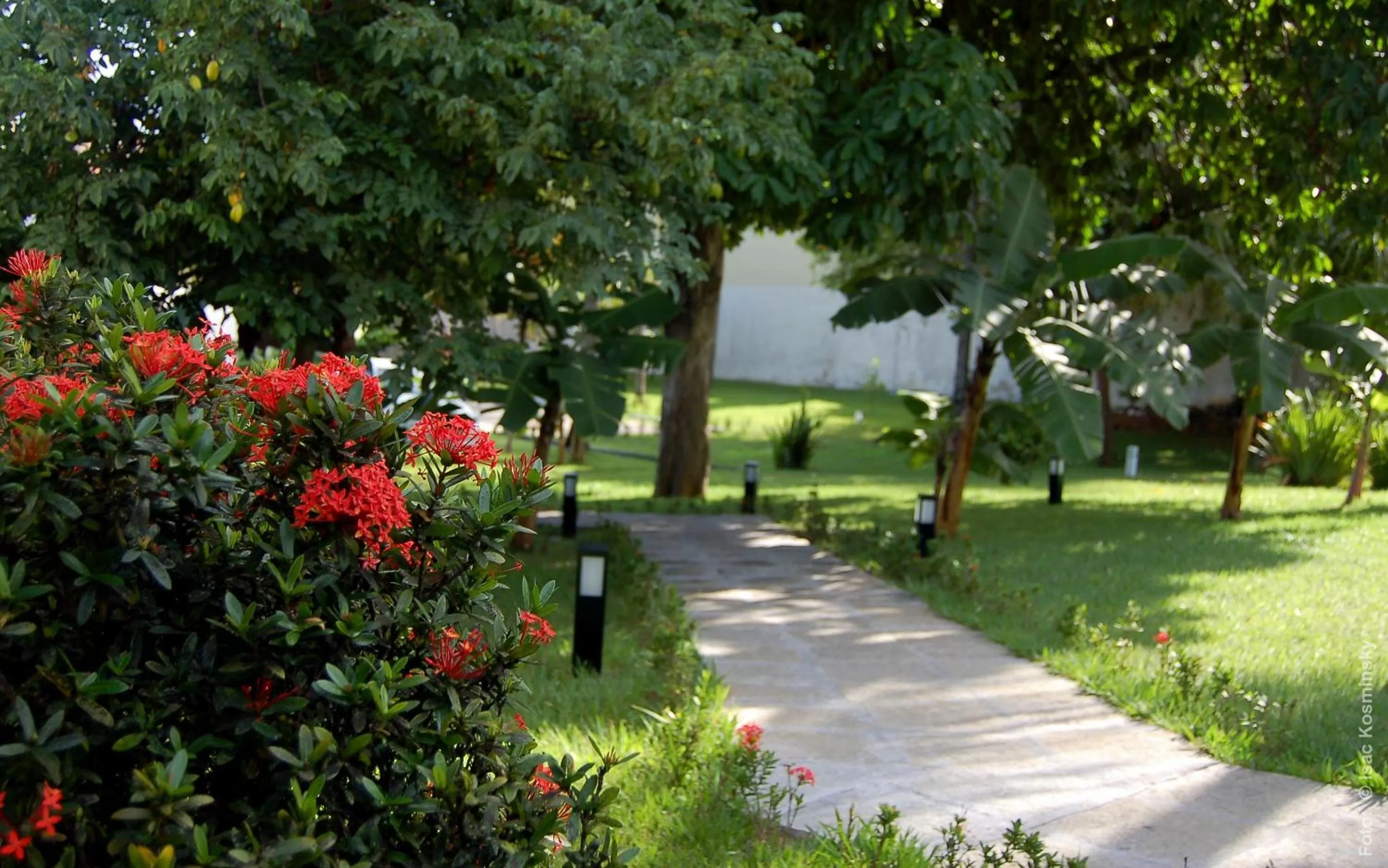 Day, Garden in Hotel Pousada Salvador Paradise