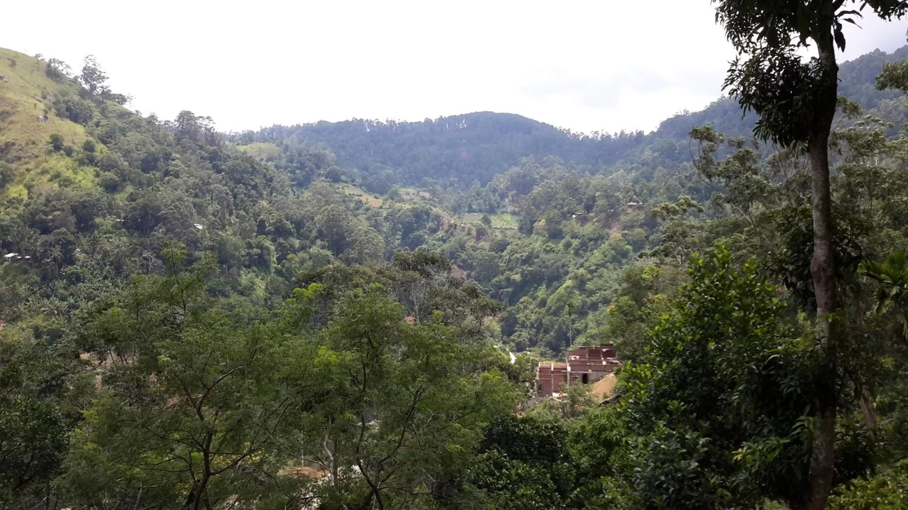 View (from property/room), Mountain View in Raveena Guest House
