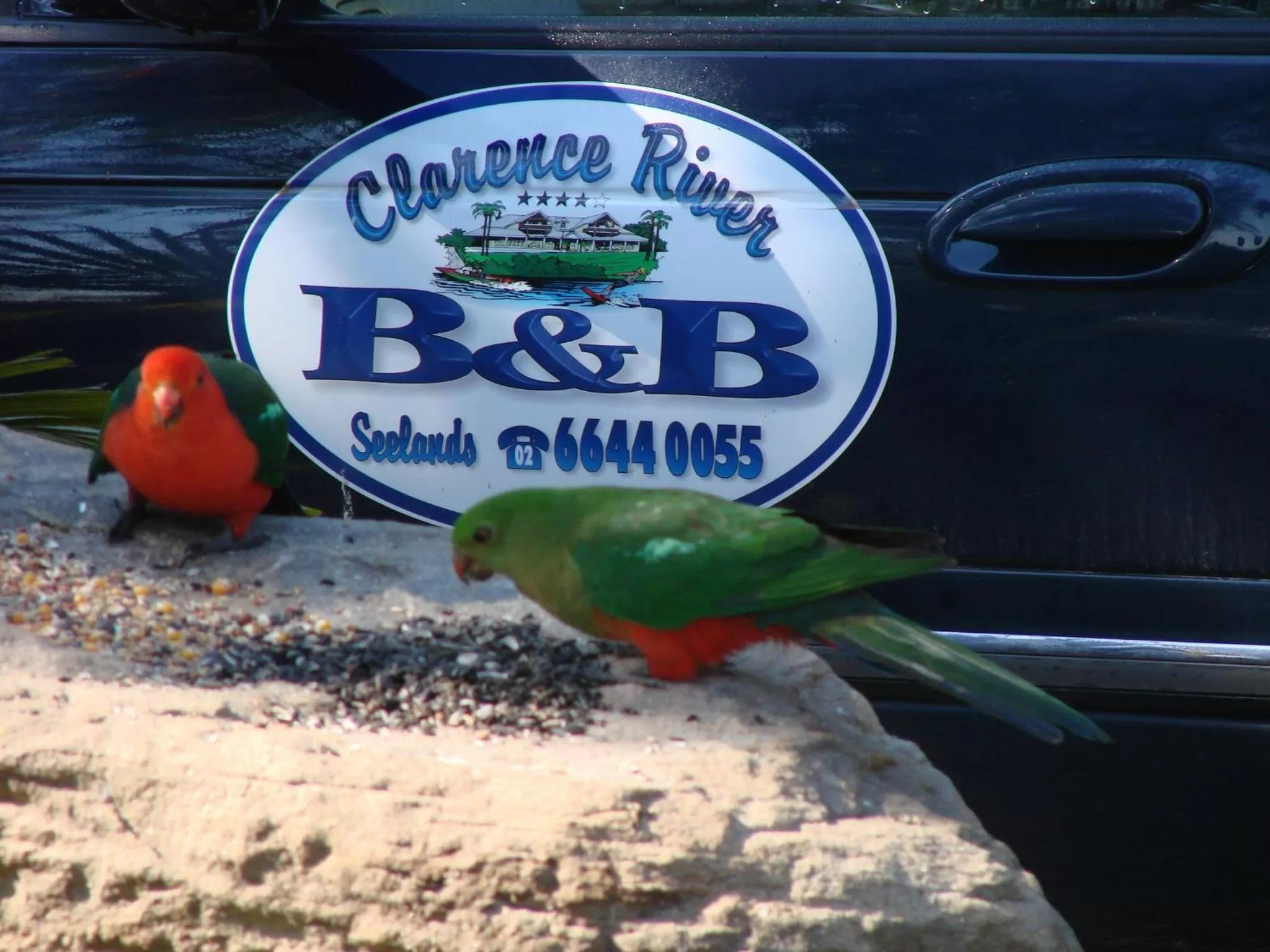 Animals in Clarence River Bed & Breakfast