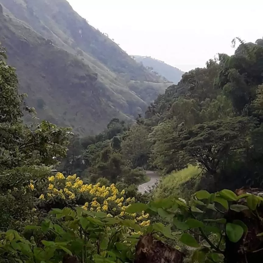 Natural Landscape in Ella Lucky Panoramic