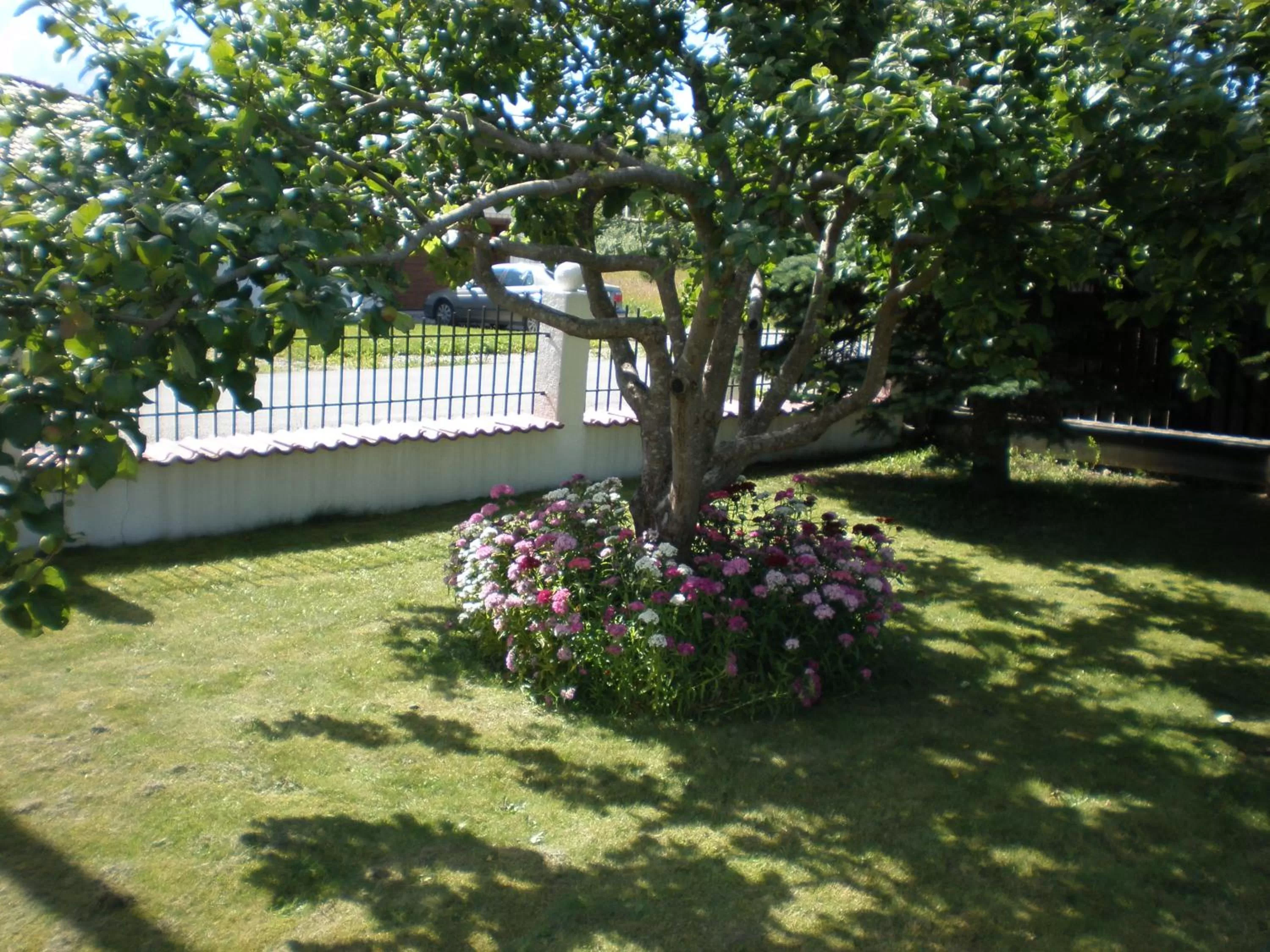 Garden view, Garden in Hotel Getliin