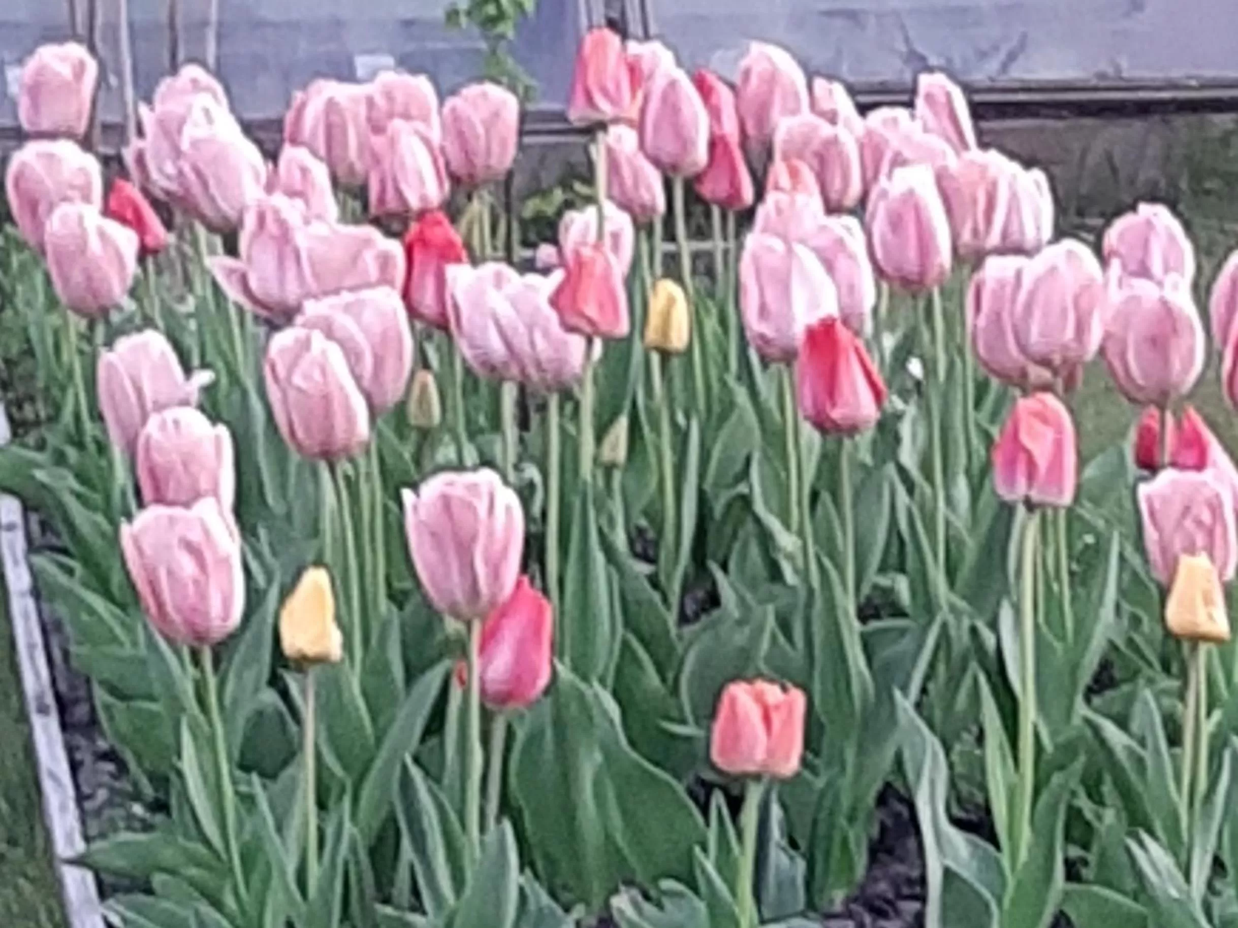 Neighbourhood in Mi BnB Amsterdam