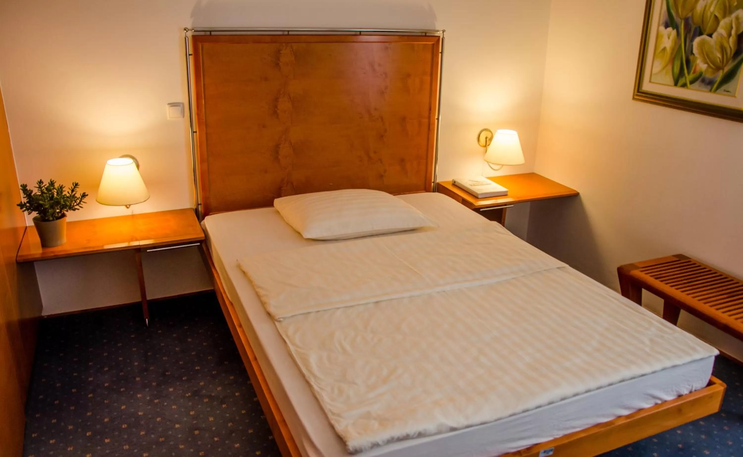 Bed in Rooms Savinja