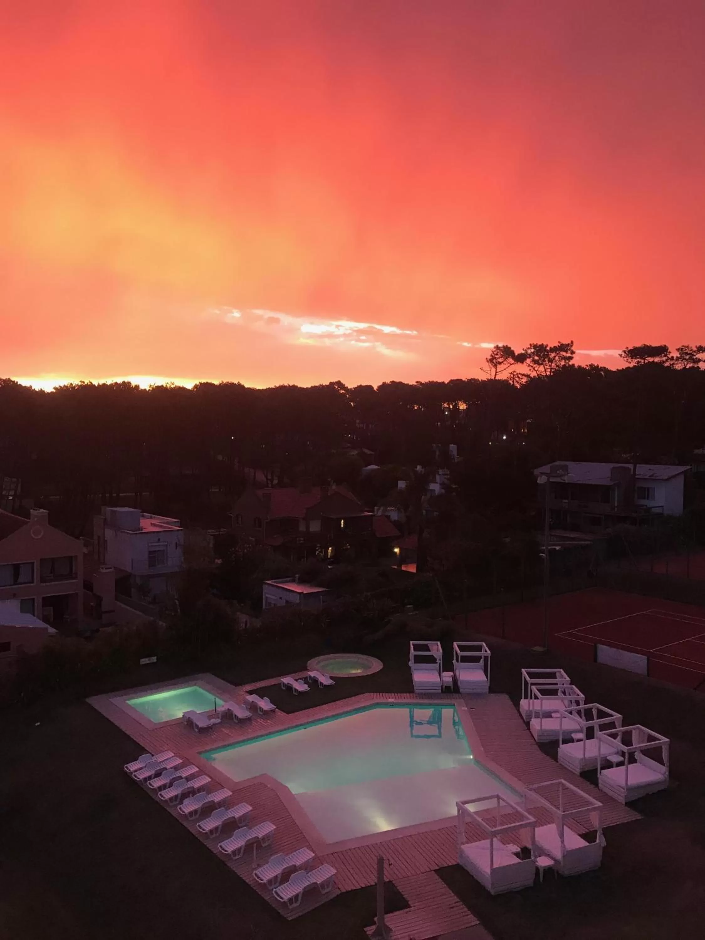 Garden, Pool View in Hotel Las Olas Resort