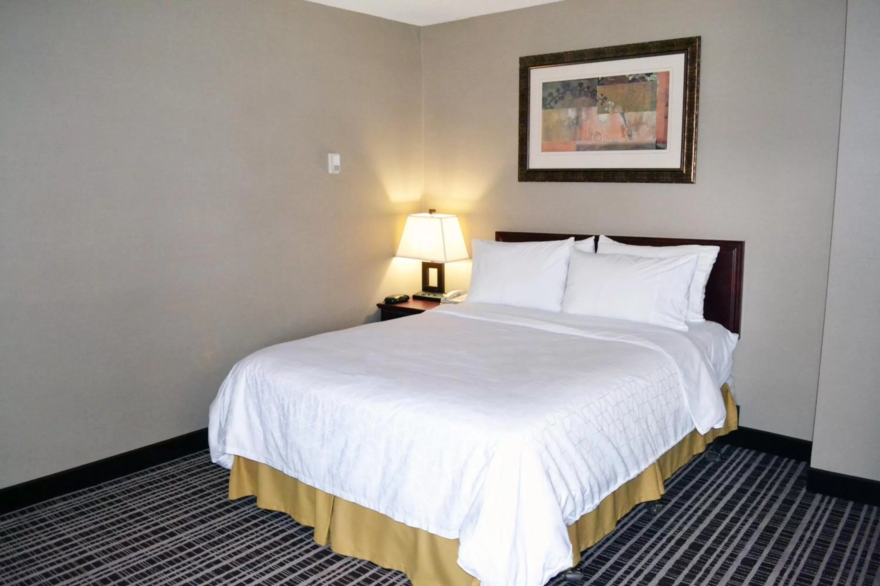 Photo of the whole room, Bed in Holiday Inn Express Red Deer by IHG