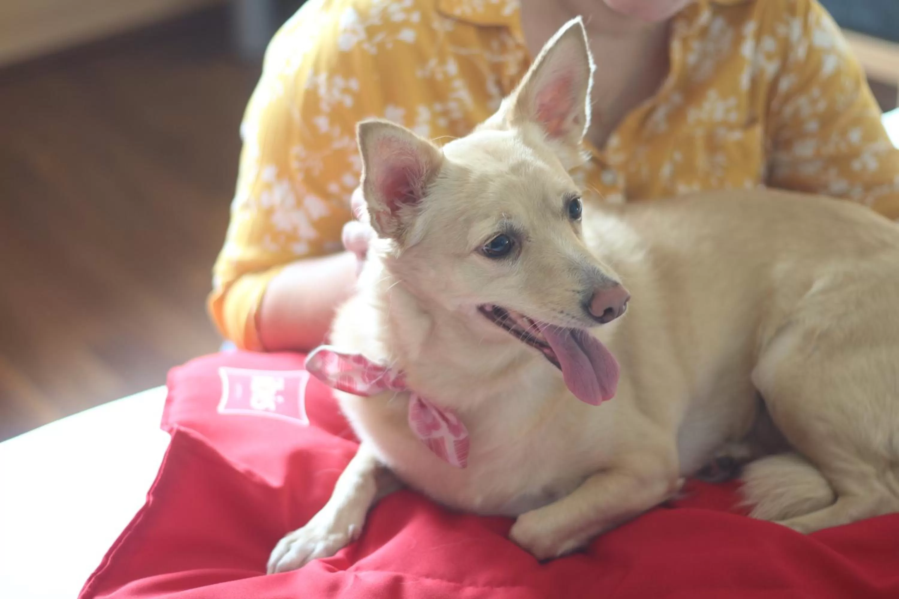 Property building in ibis Sao Jose dos Campos Dutra