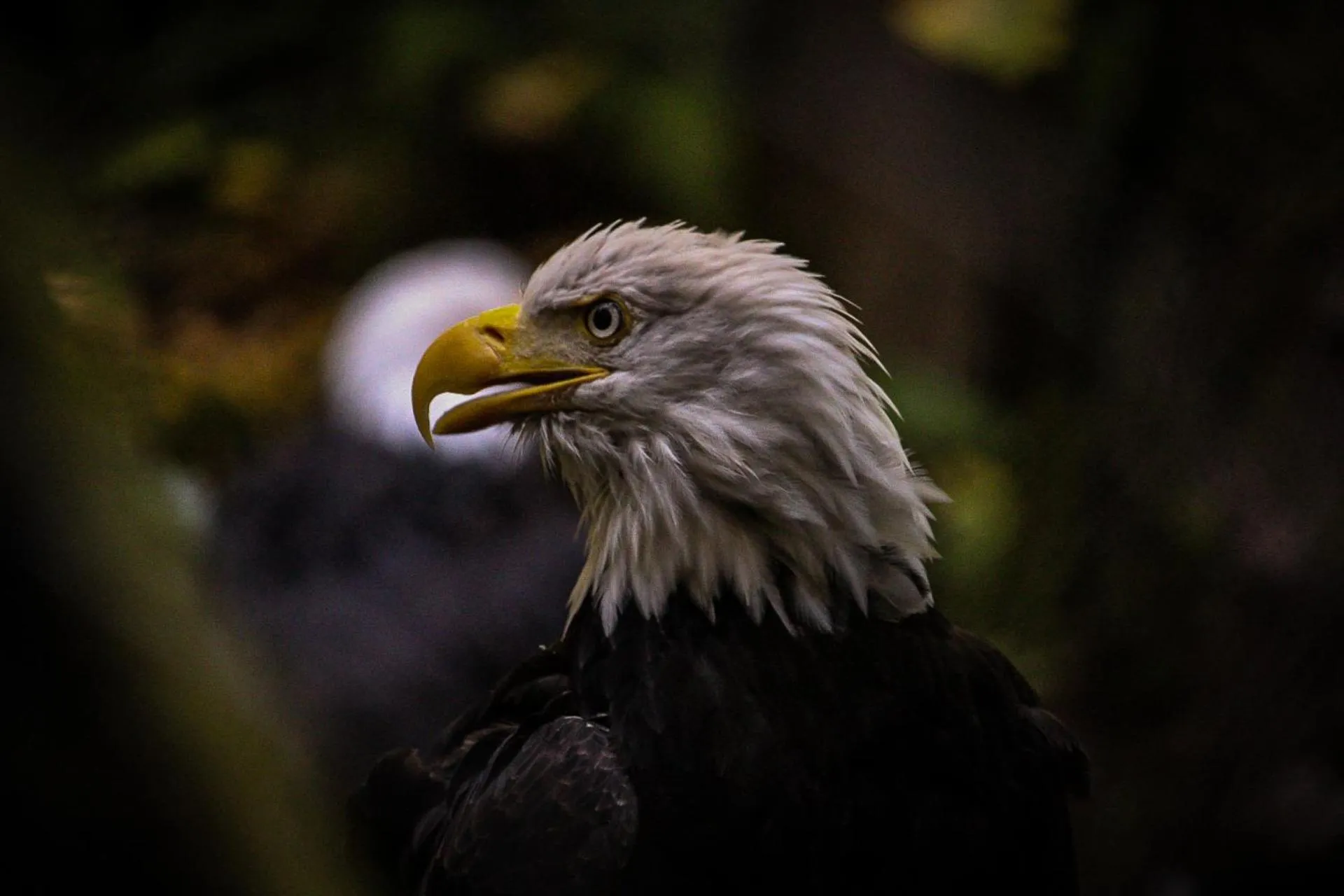 Natural landscape in Pluvio restaurant and rooms