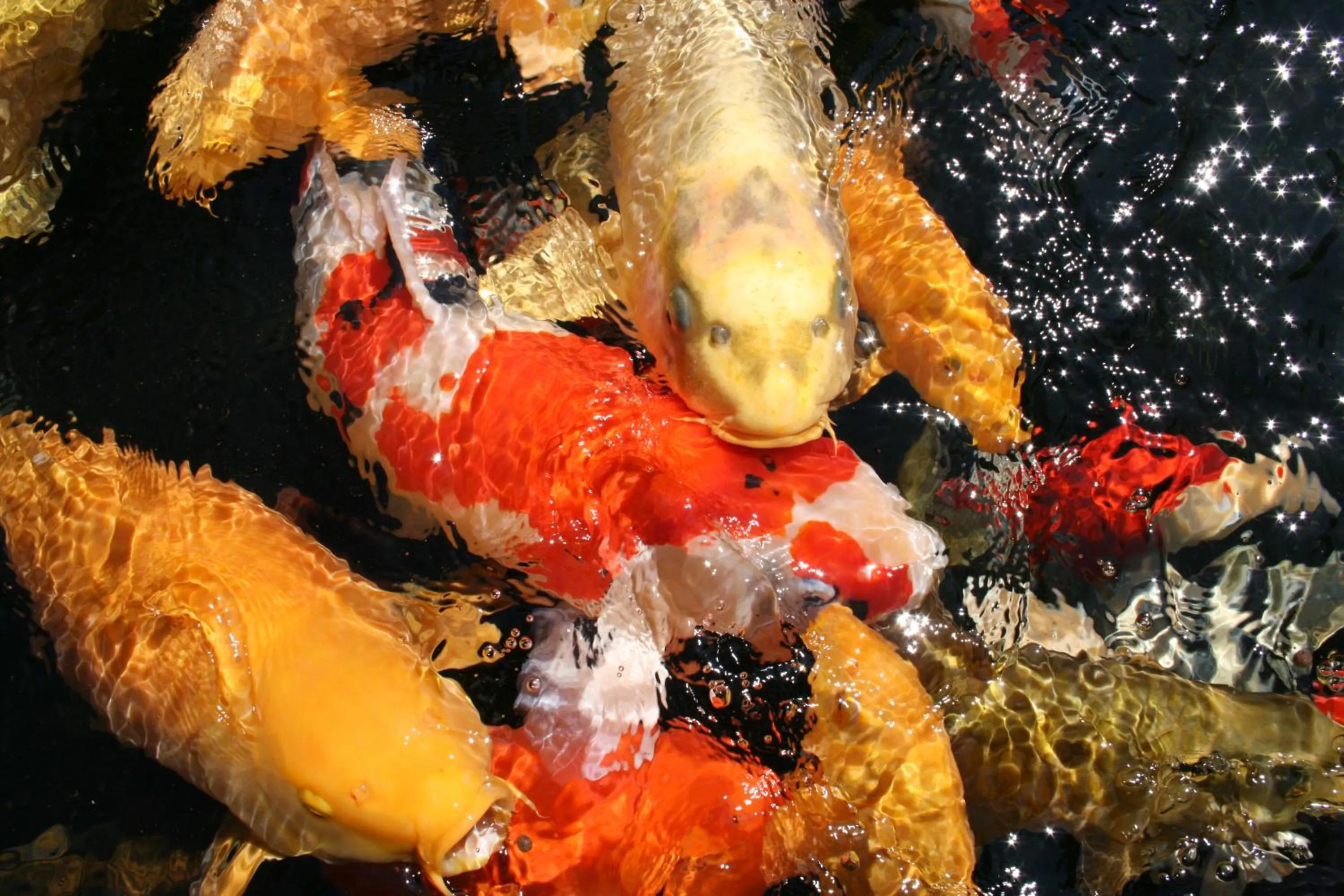 Other in Zur Weinsteige