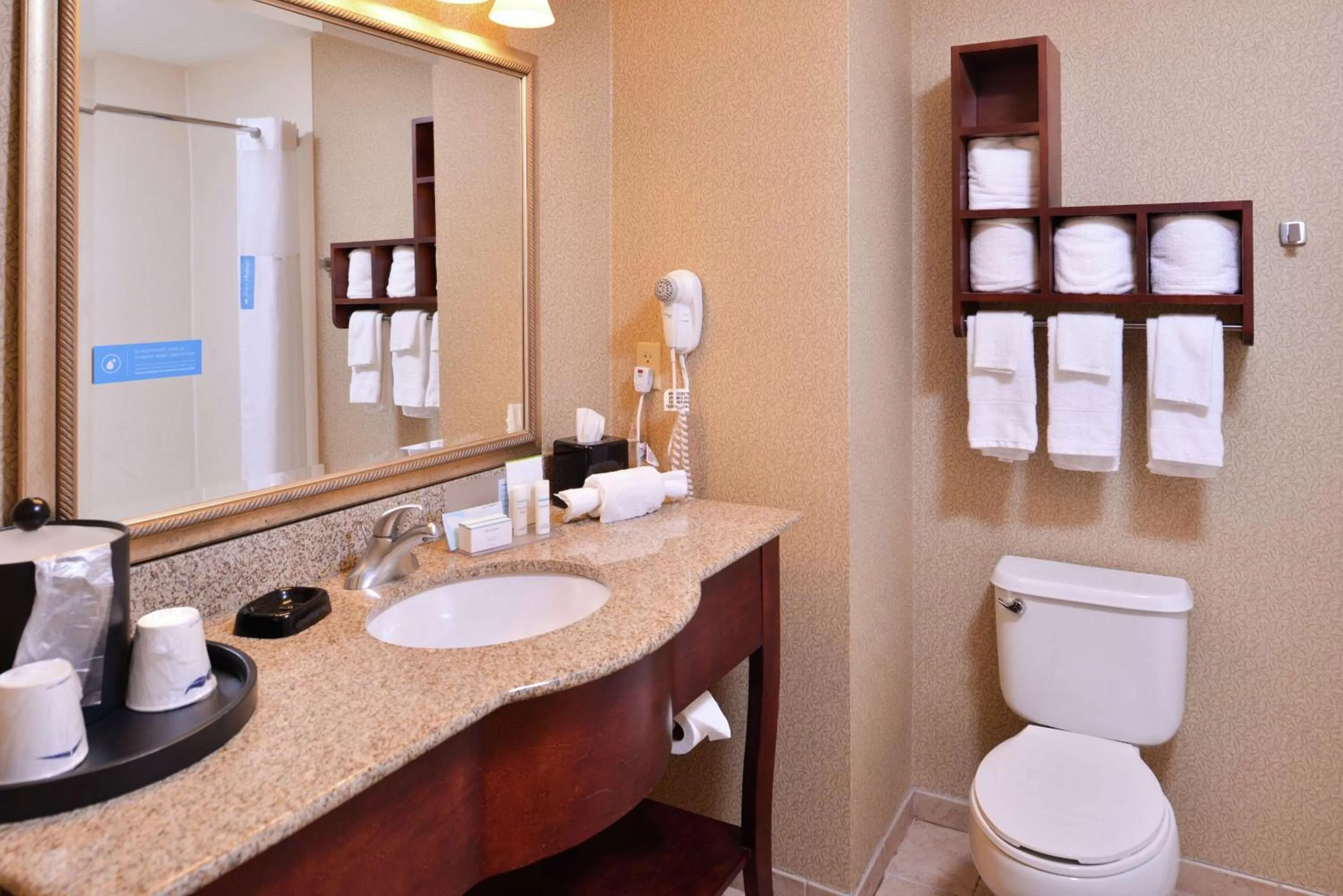 Bathroom in Hampton Inn Jackson-College Avenue