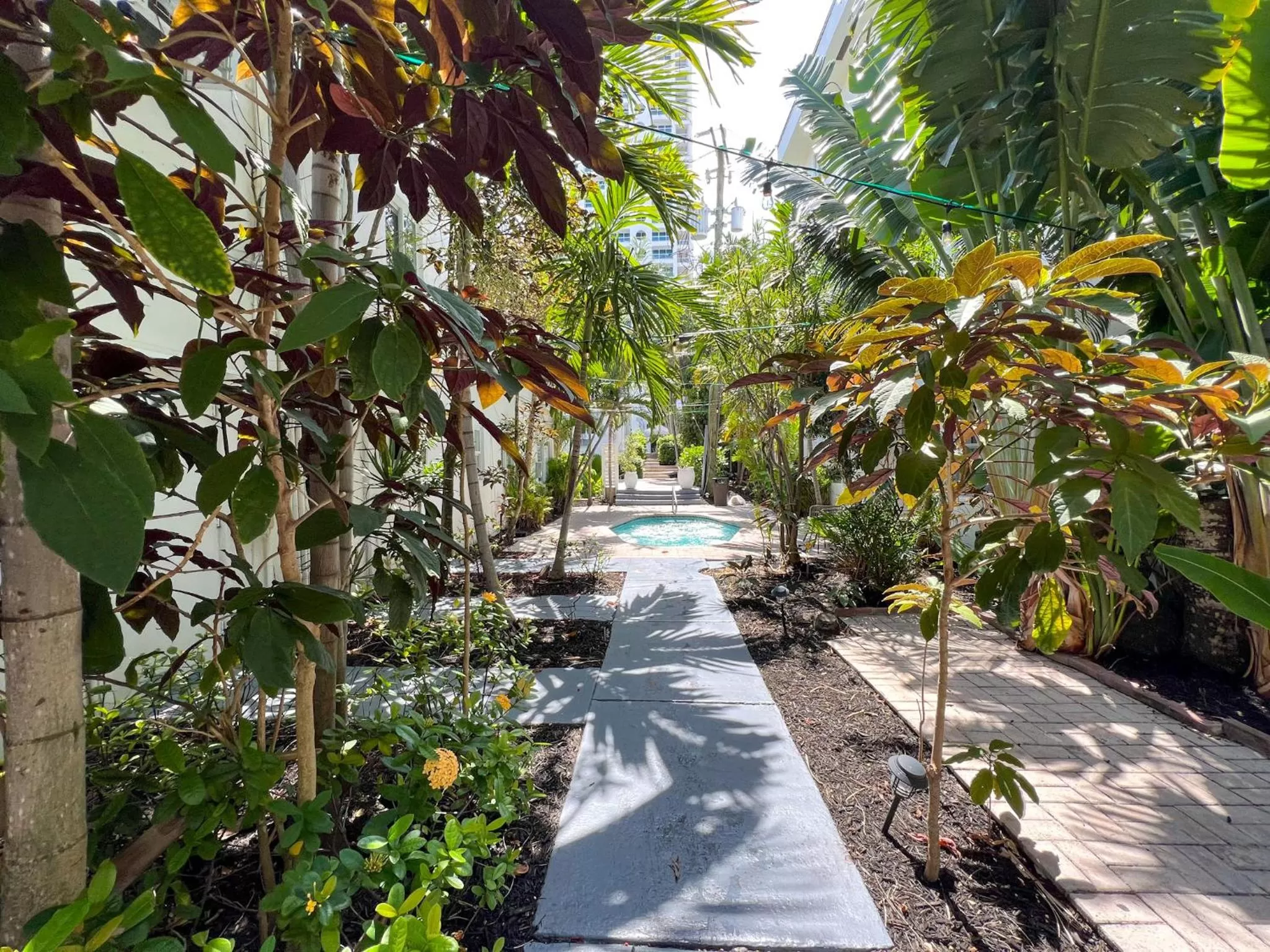 Natural landscape in North Beach Hotel