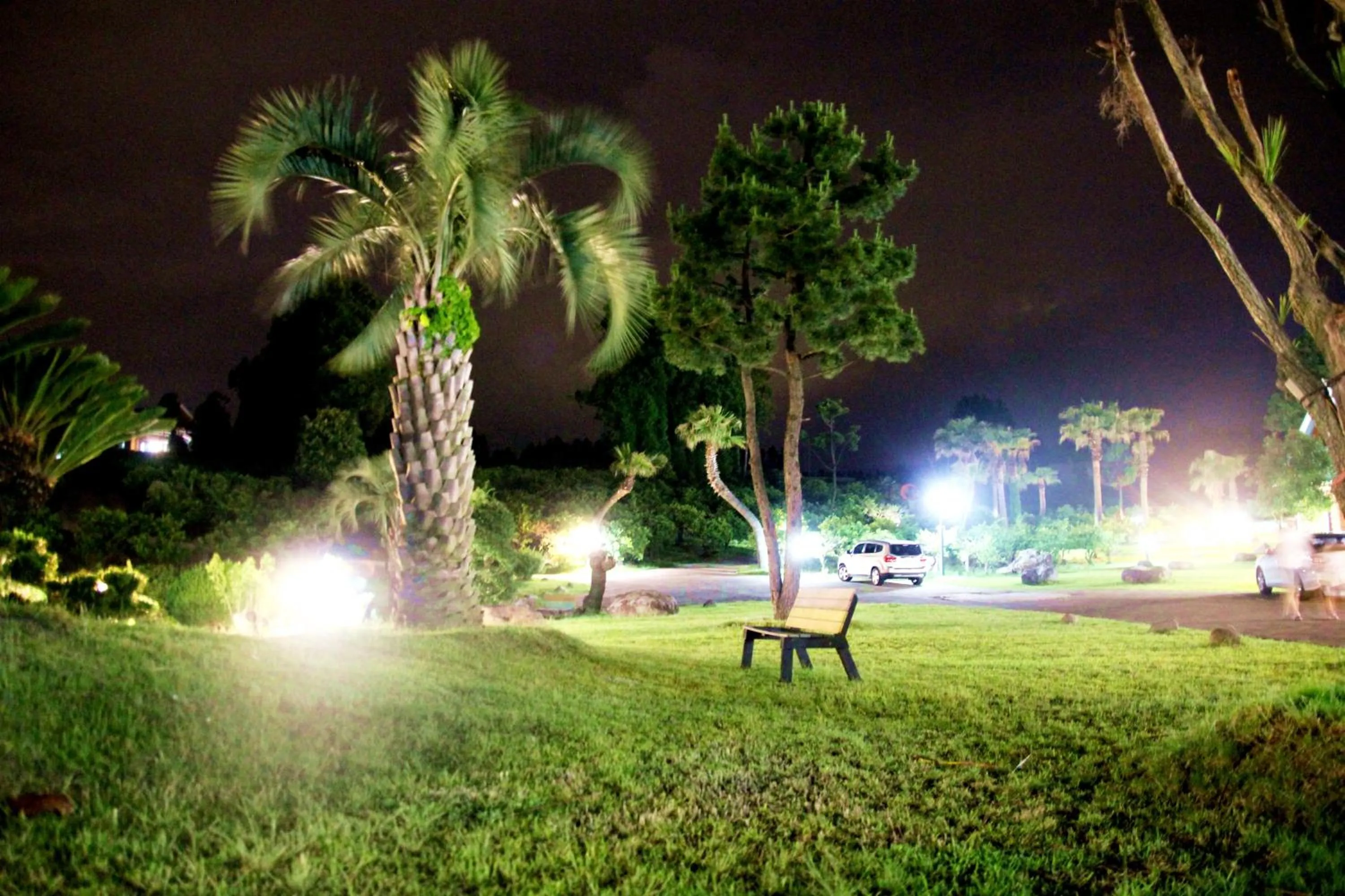 Garden view in Jungmun Log Pension & Resort