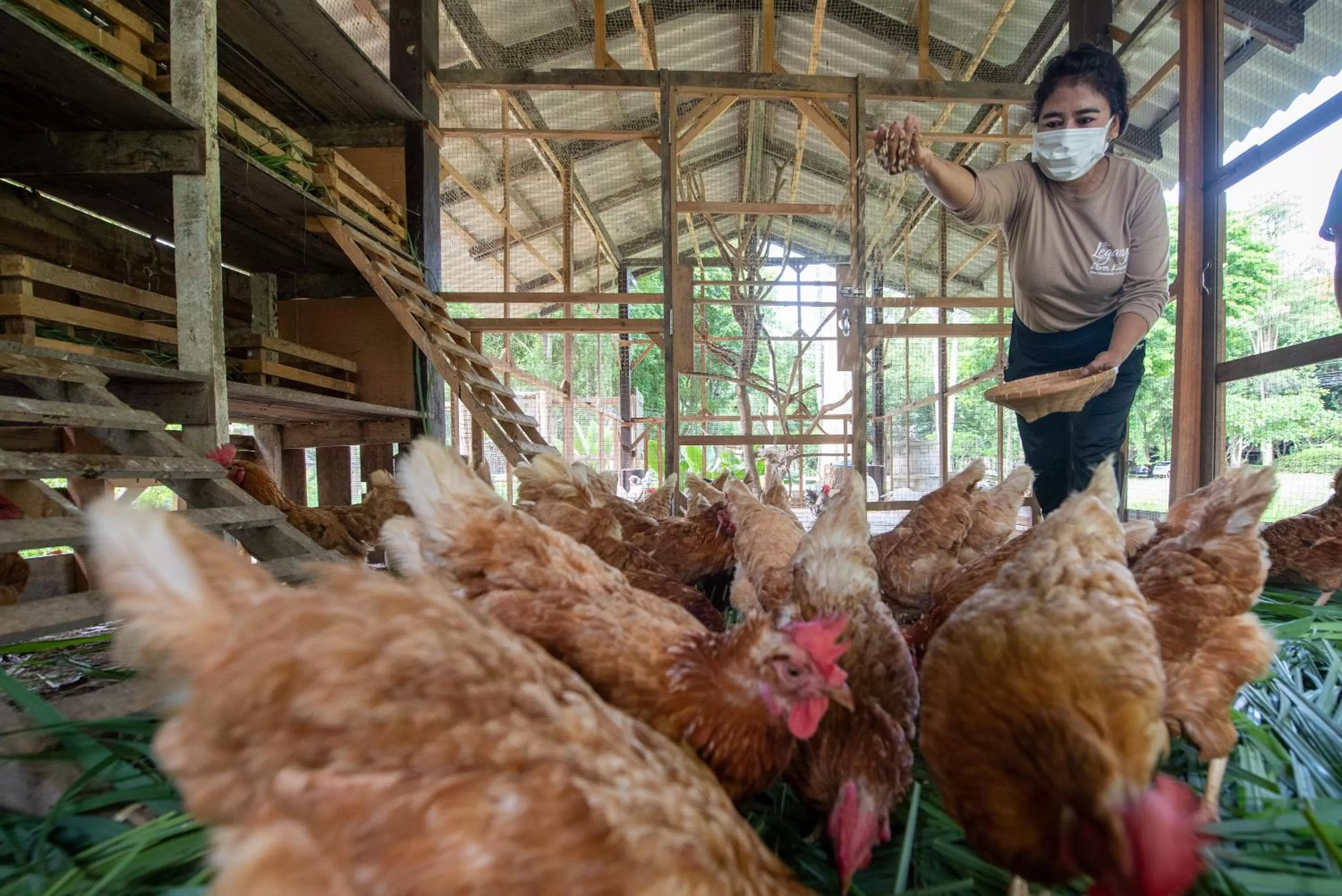 Activities in The Legacy River Kwai Resort