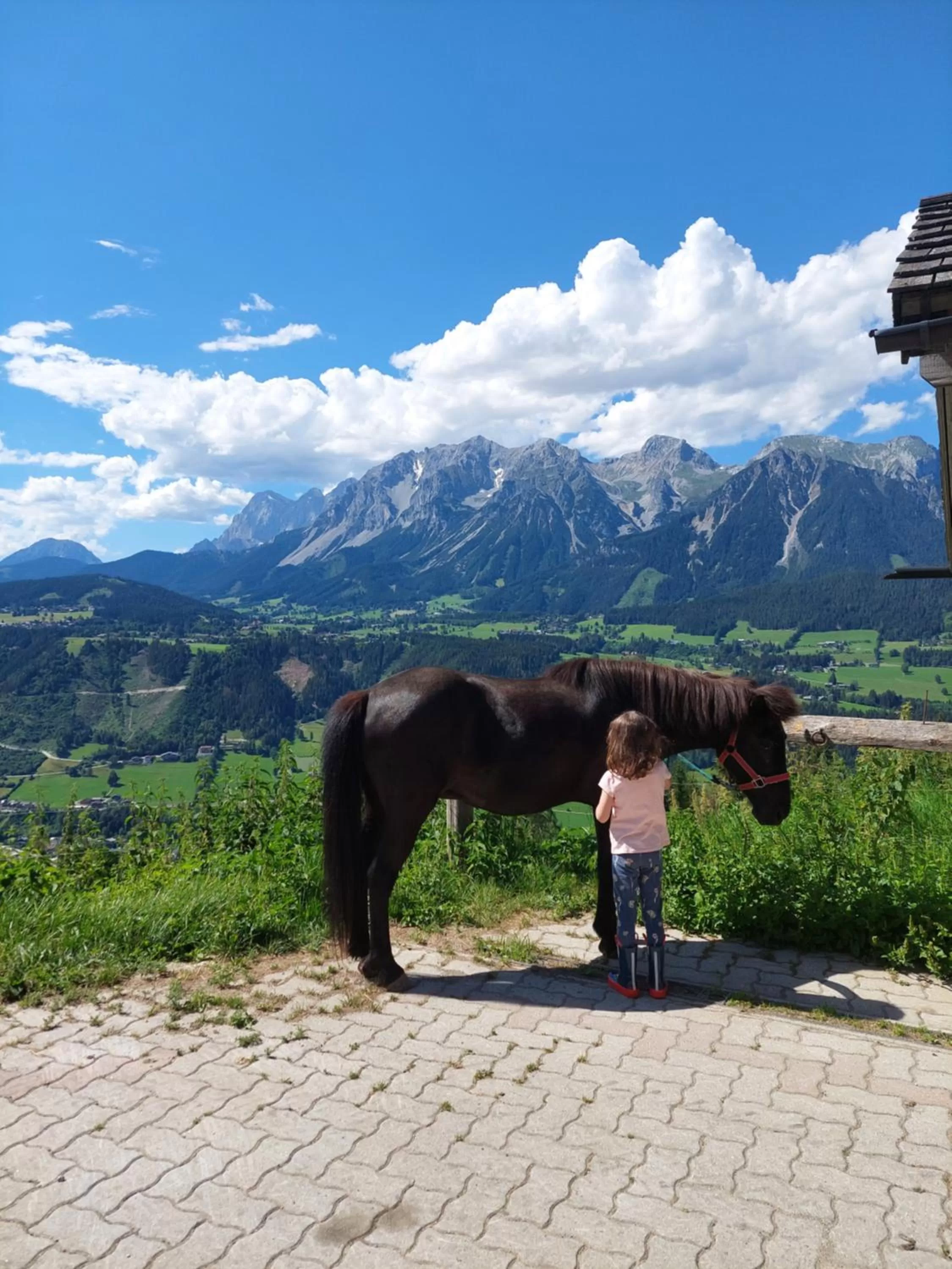 Horse-riding in Hotel Schröckerhof