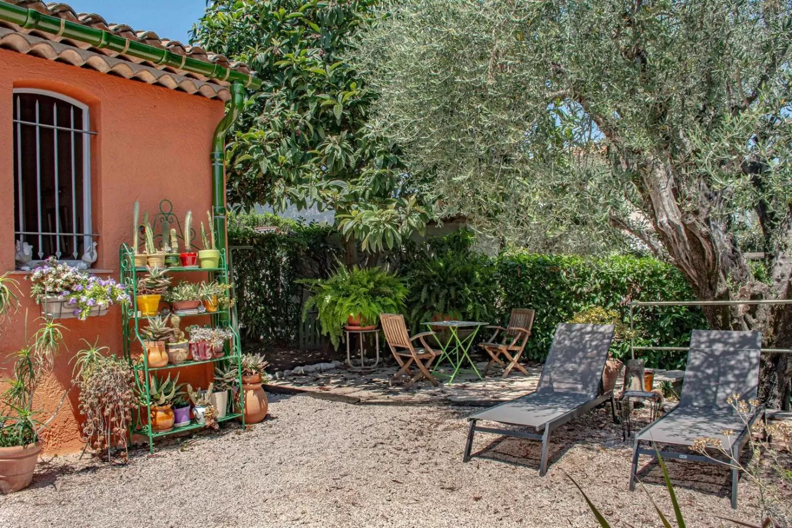 Garden view in Le Clos des Oliviers 188 chemin du Hameau des Bourges 06650 Le Rouret