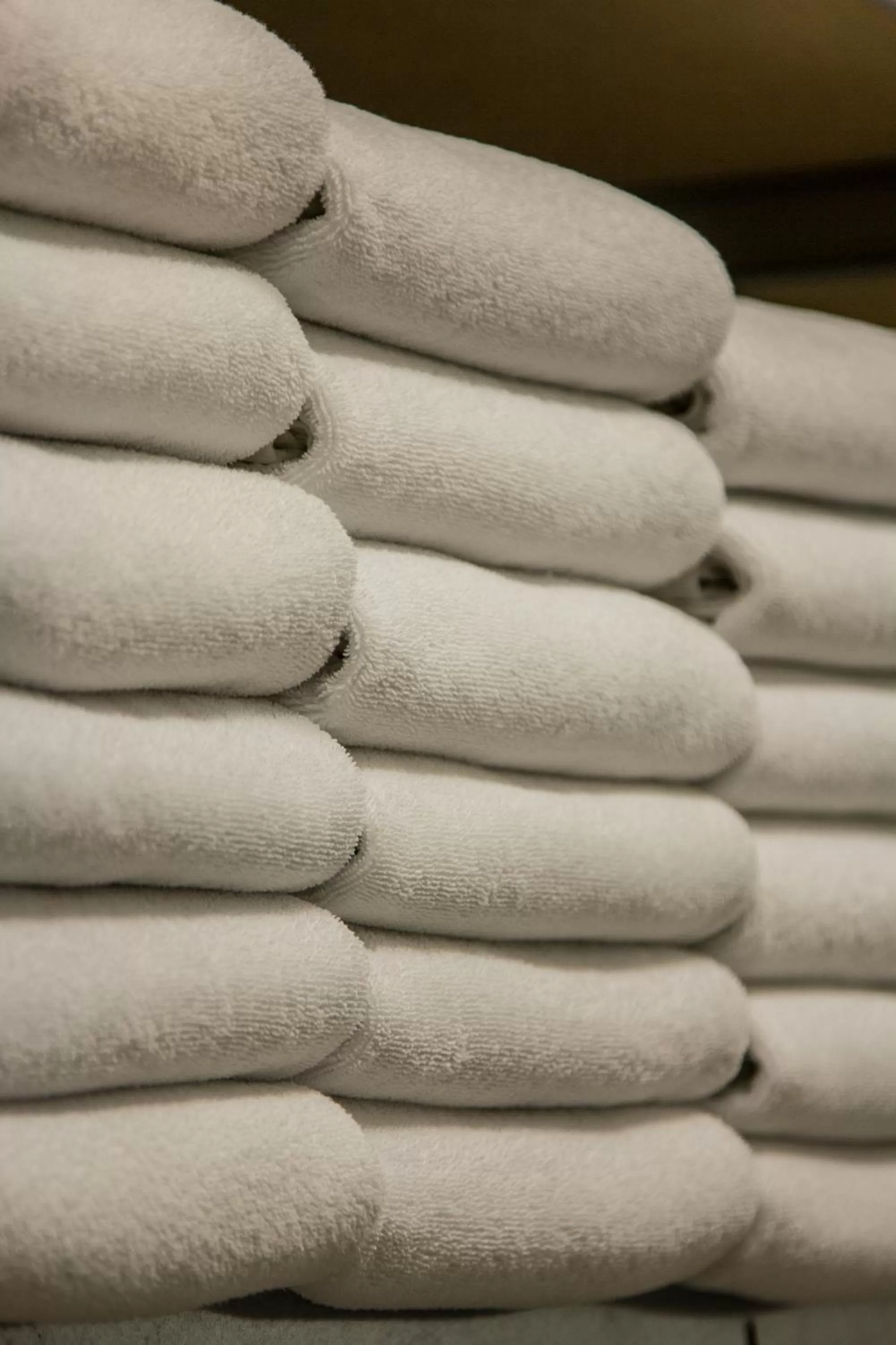 laundry in Waldhotel Fletschhorn Saas-Fee