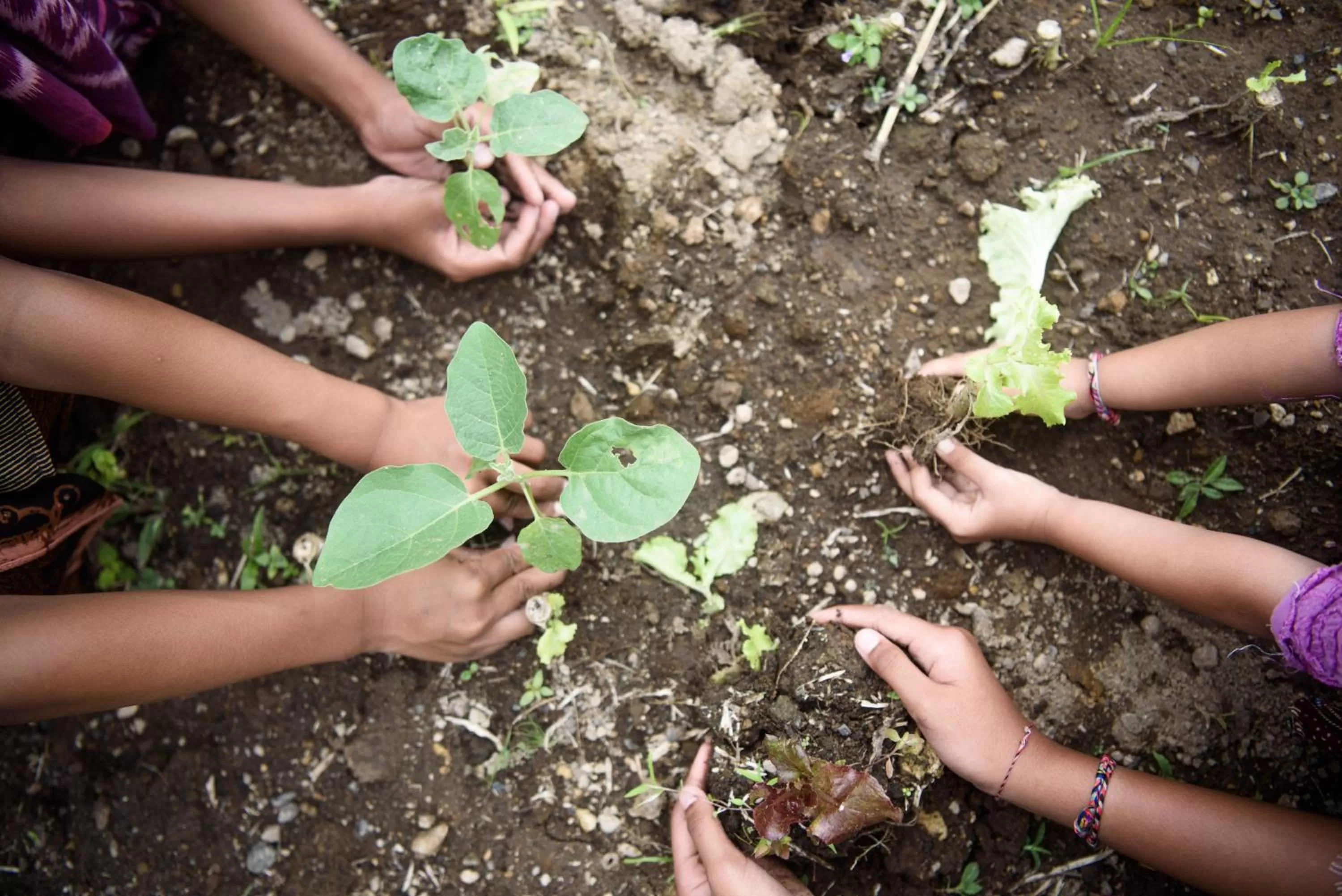 Activities in Kappa Senses Ubud