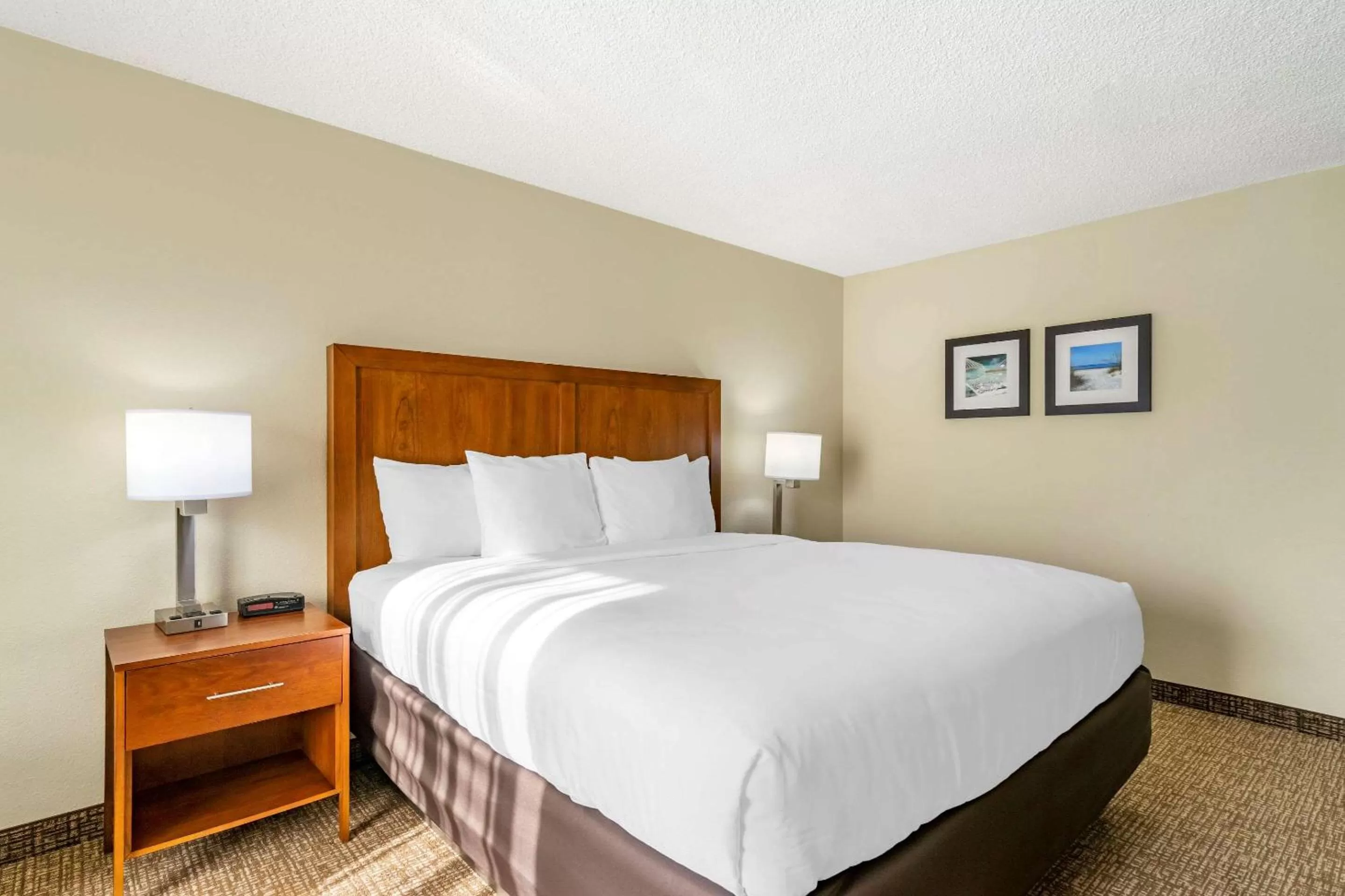 Bedroom, Bed in Comfort Inn & Suites St Pete - Clearwater International Airport