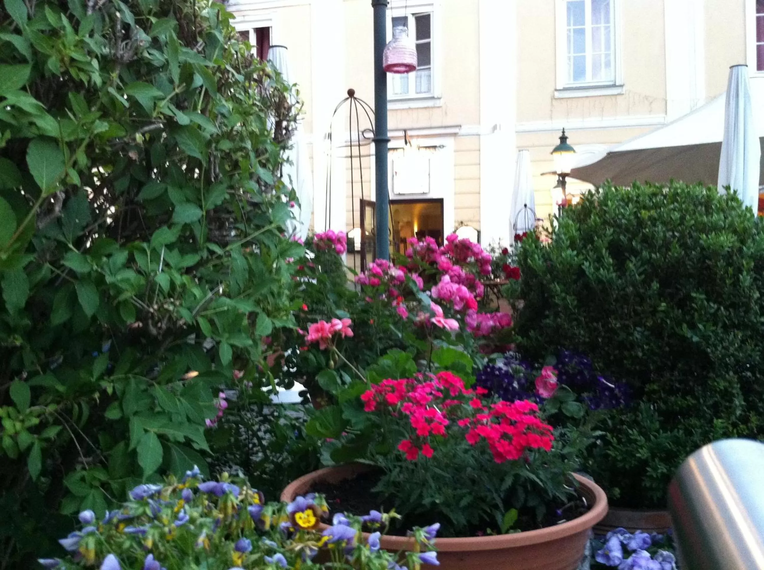 Garden in Babenbergerhof