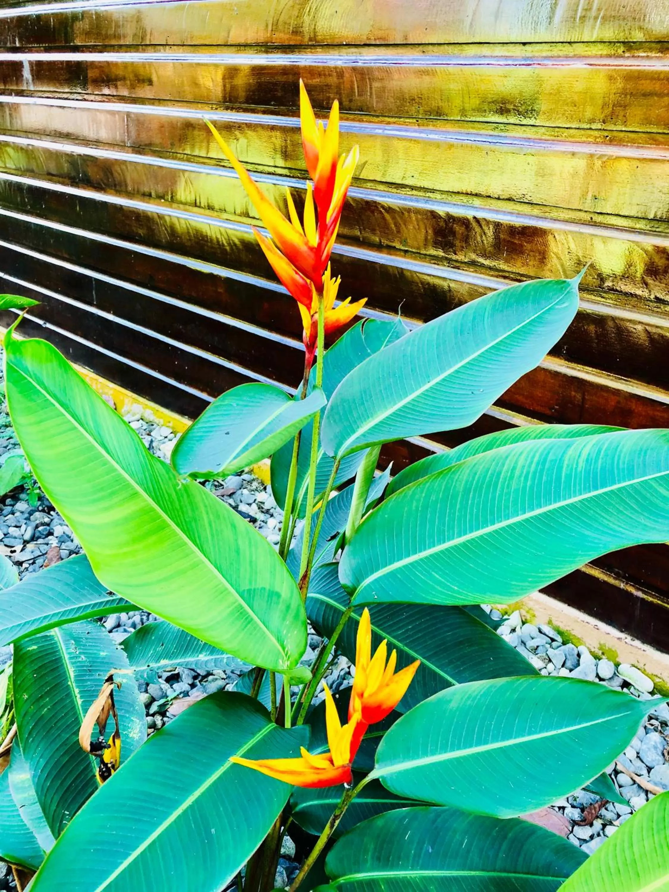 Natural landscape in Casa Oceana Bed & Breakfast