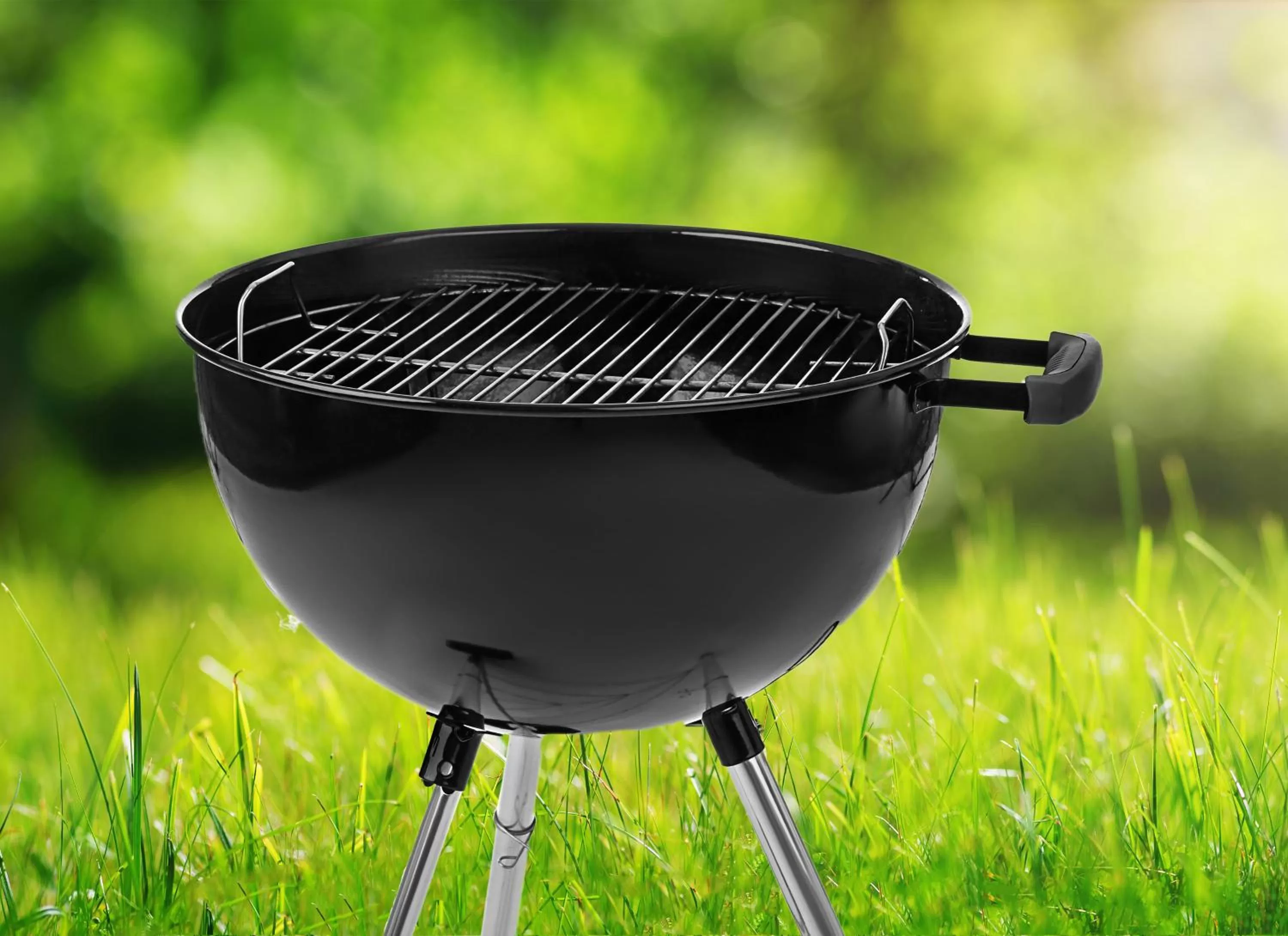 BBQ facilities in MainStay Suites Springfield IL