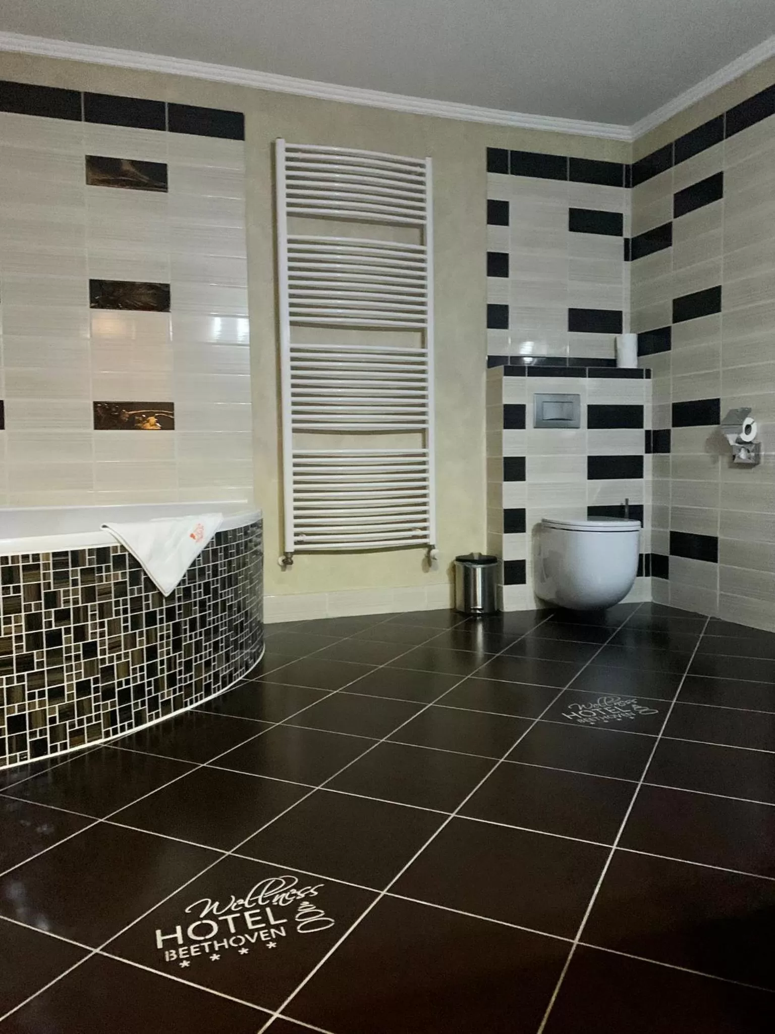 Toilet, Bathroom in Wellness Hotel Beethoven