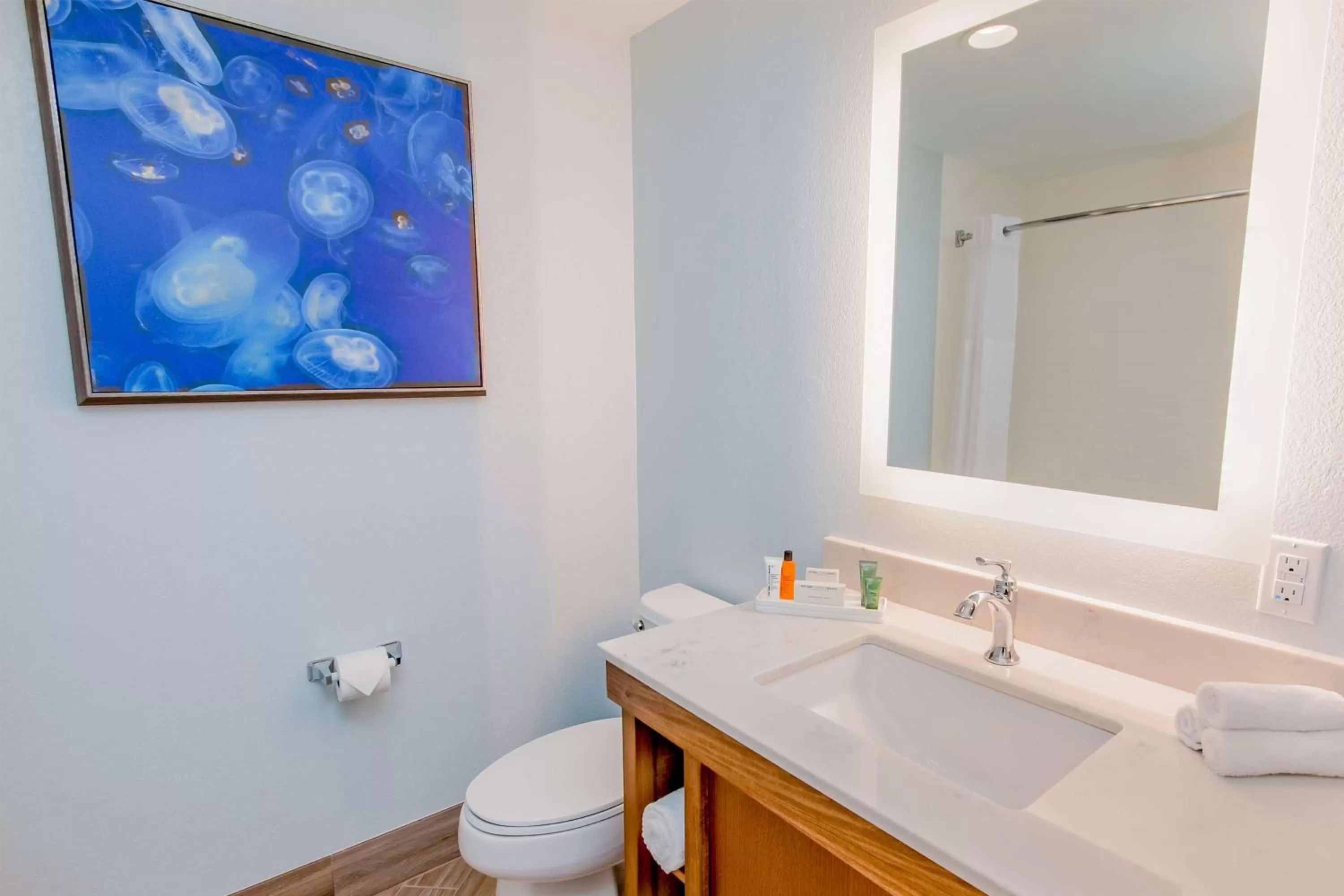 Bathroom in Hilton Pensacola Beach