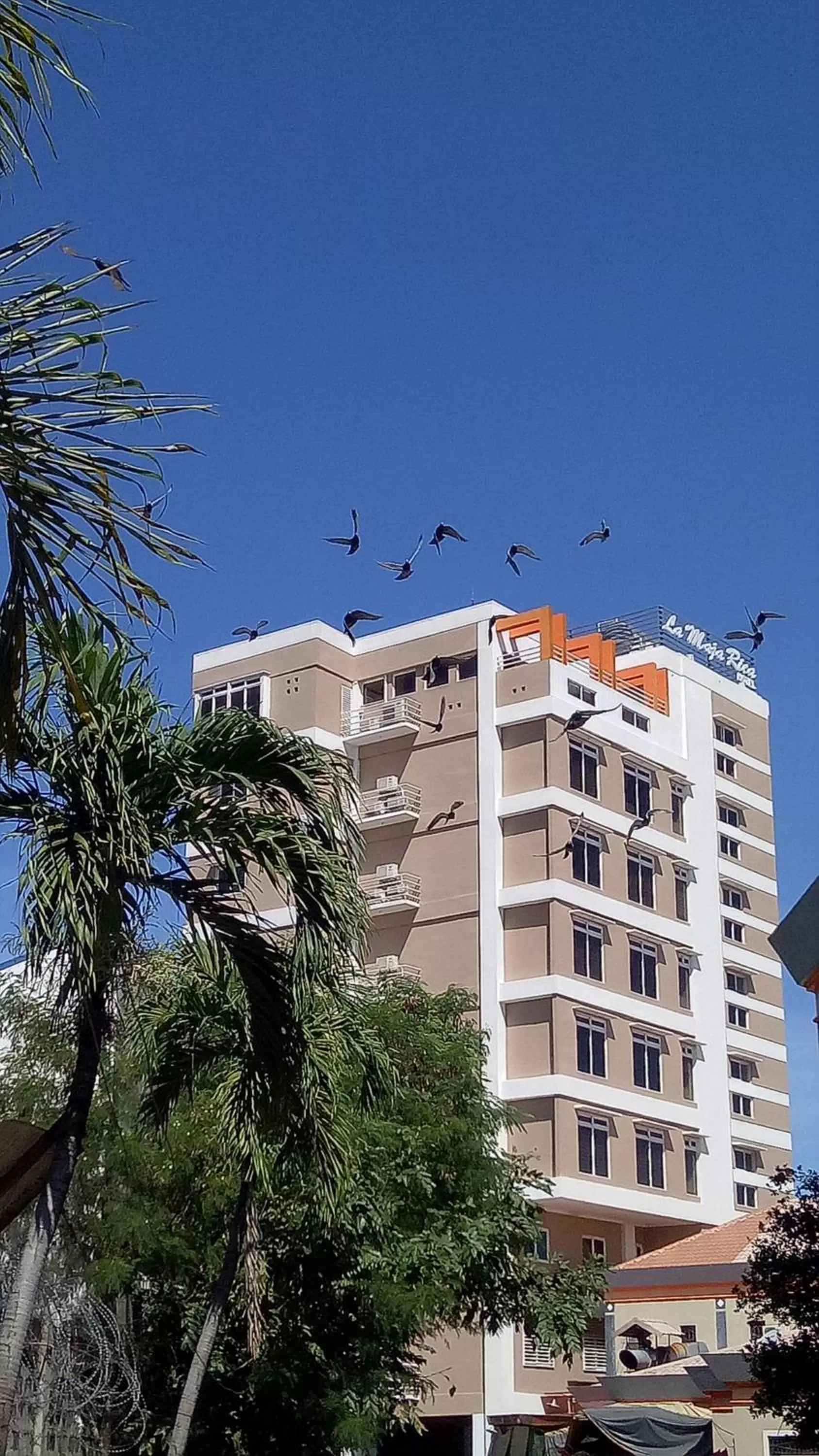 Property building in La Maja Rica Hotel