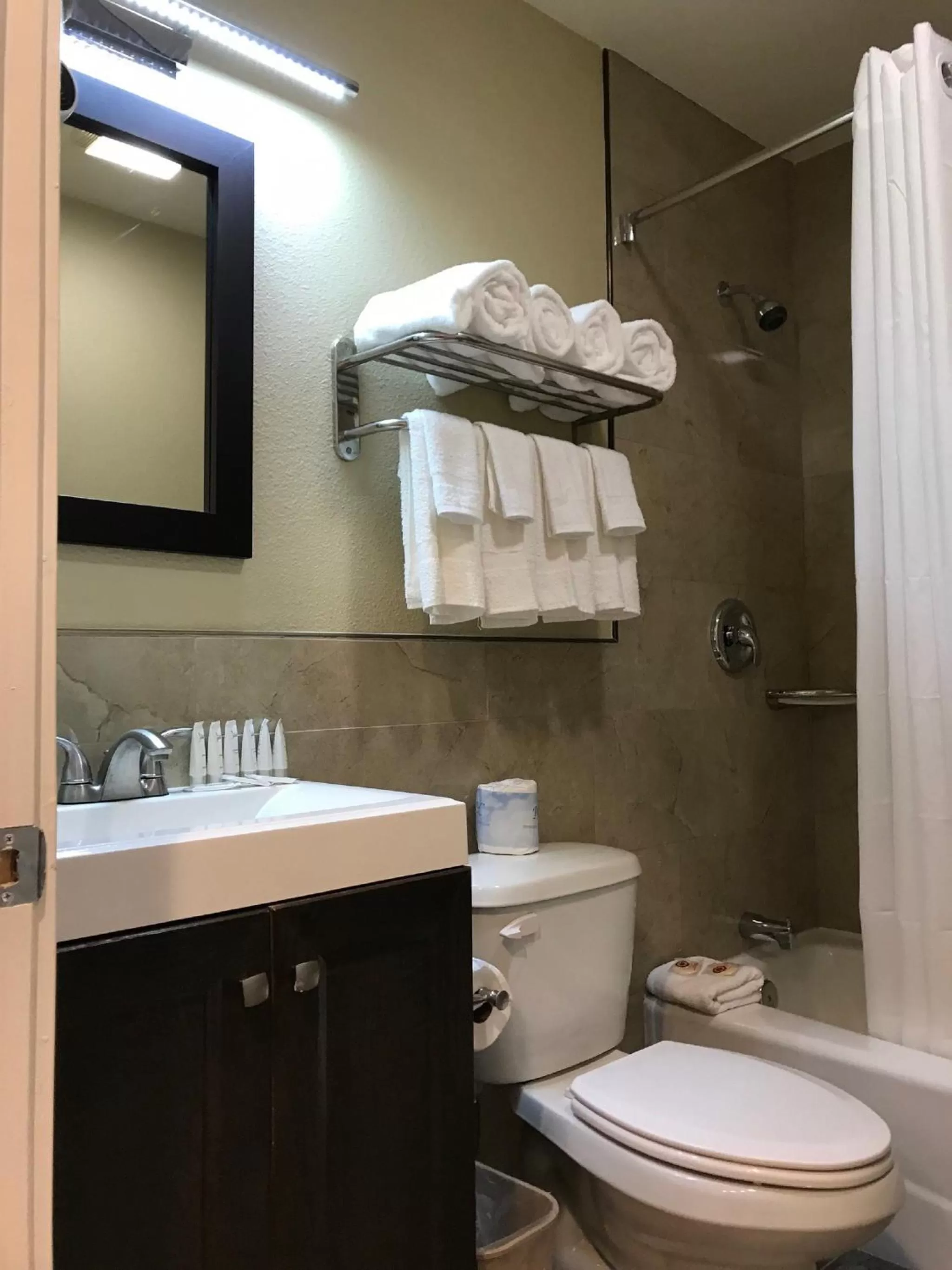 Toilet in Berkshire Motor Hotel