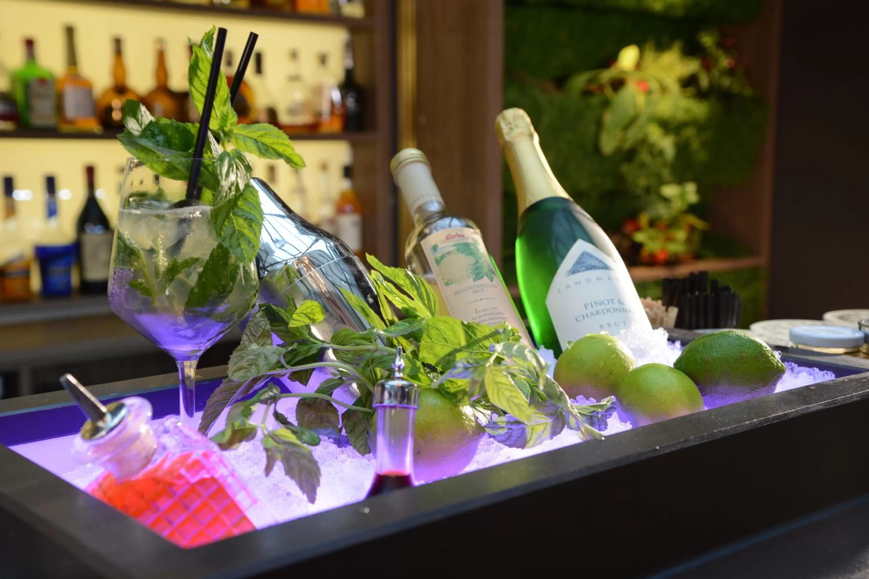 Alcoholic drinks in Hotel Victoria, BW Signature Collection