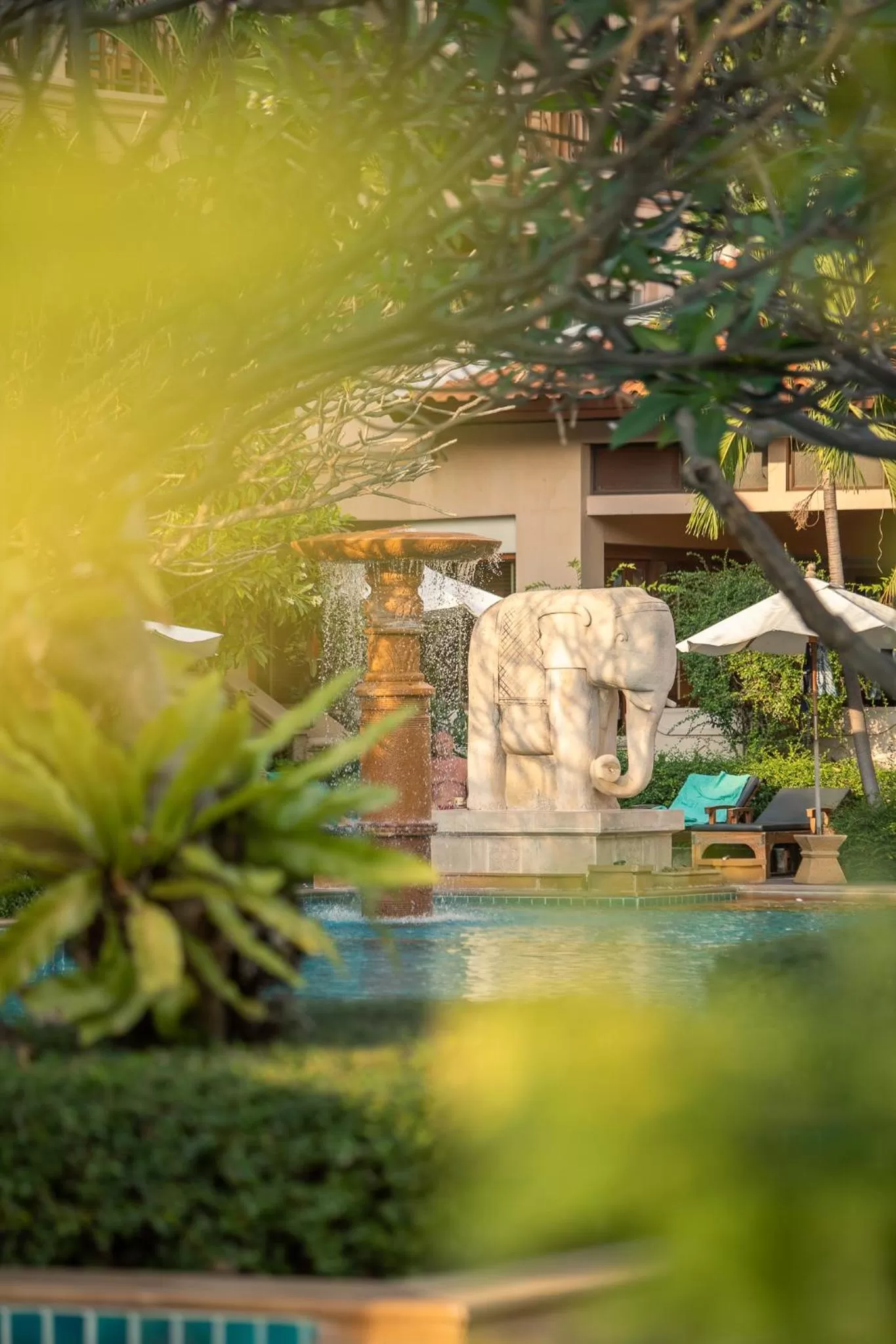 Pool view in Avalon Beach Resort