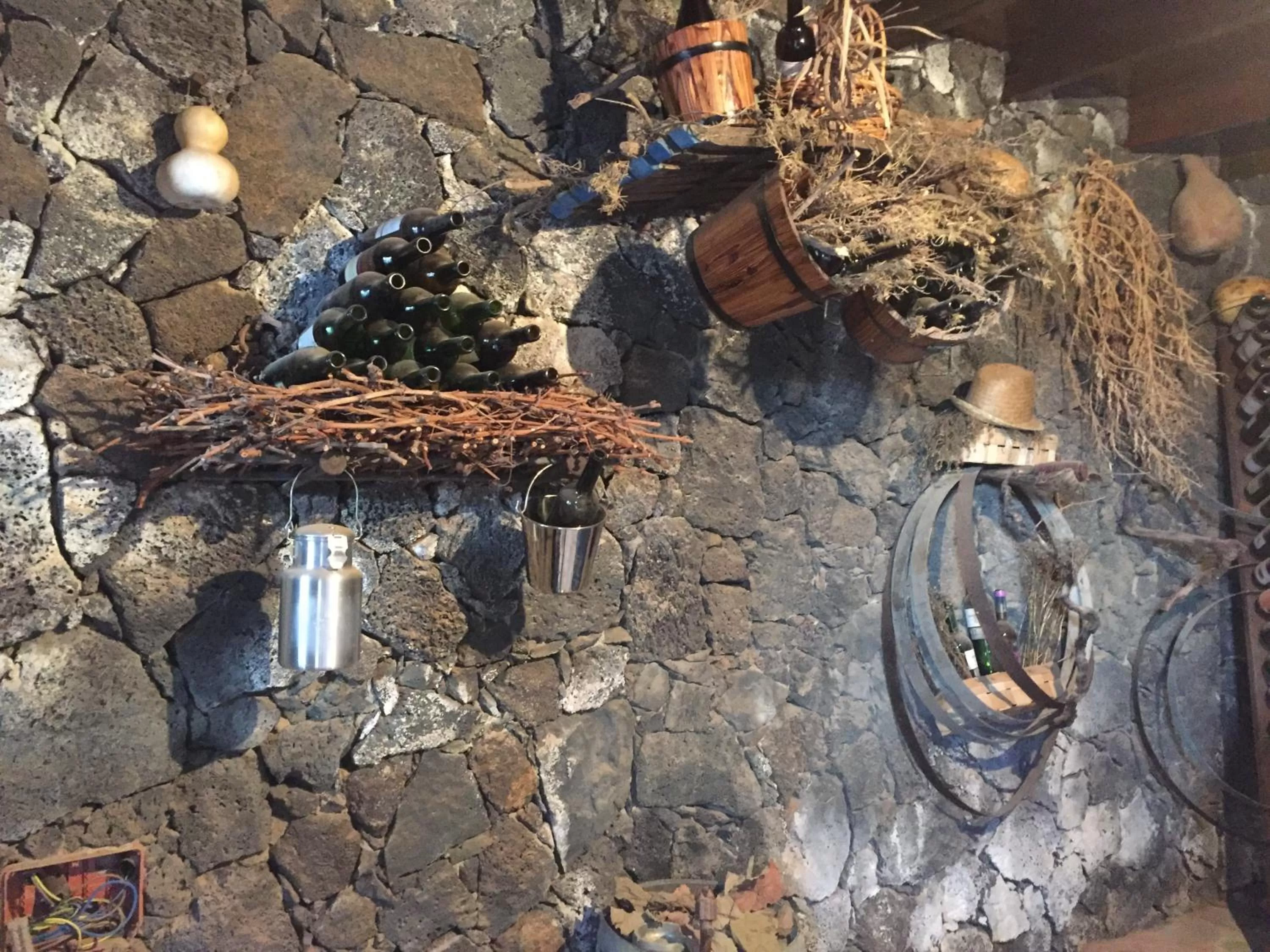 Decorative detail, Other Animals in Villa El Jable Lanzarote