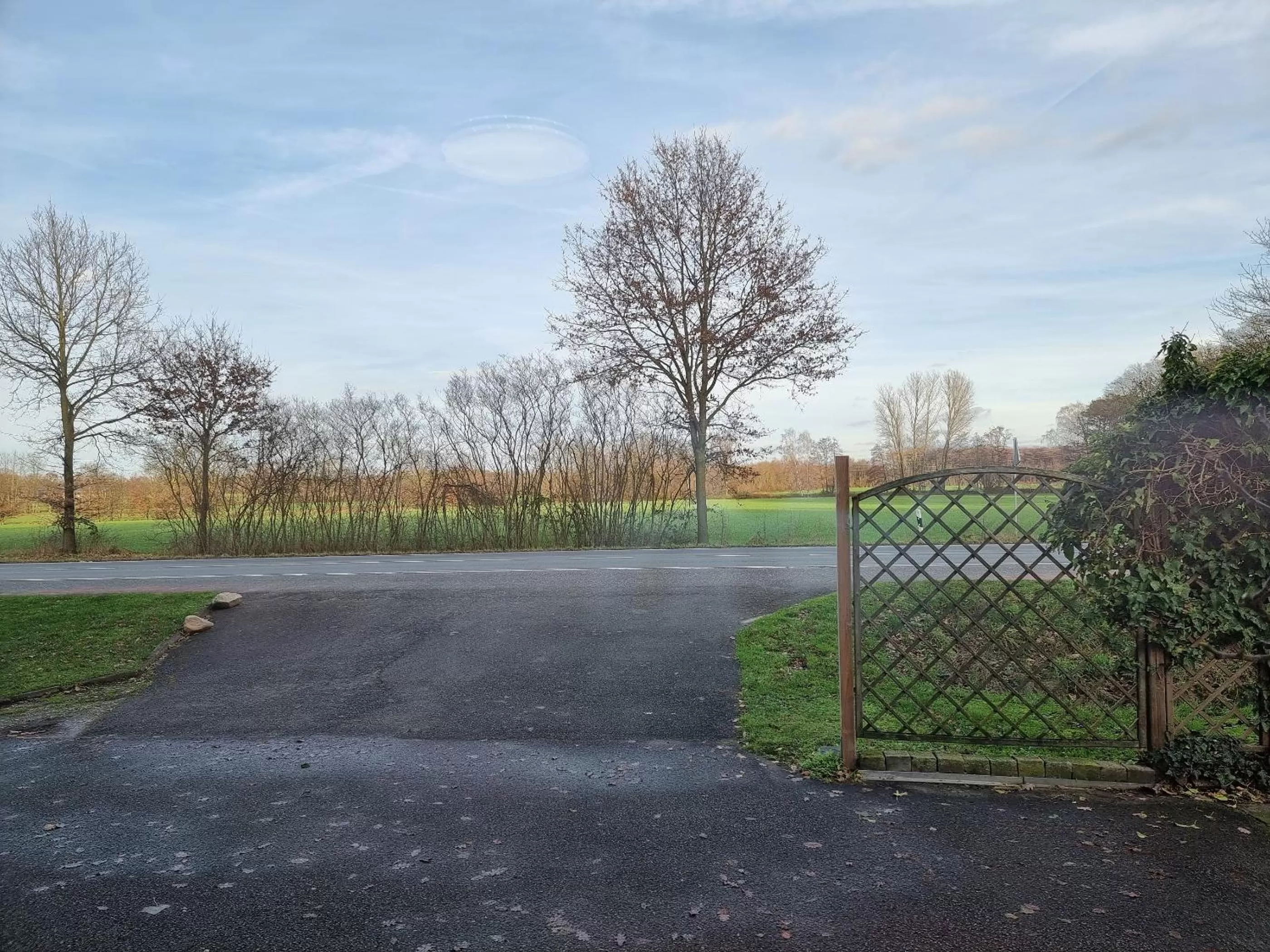View (from property/room) in Gästehaus Grunewald Bed & Breakfast