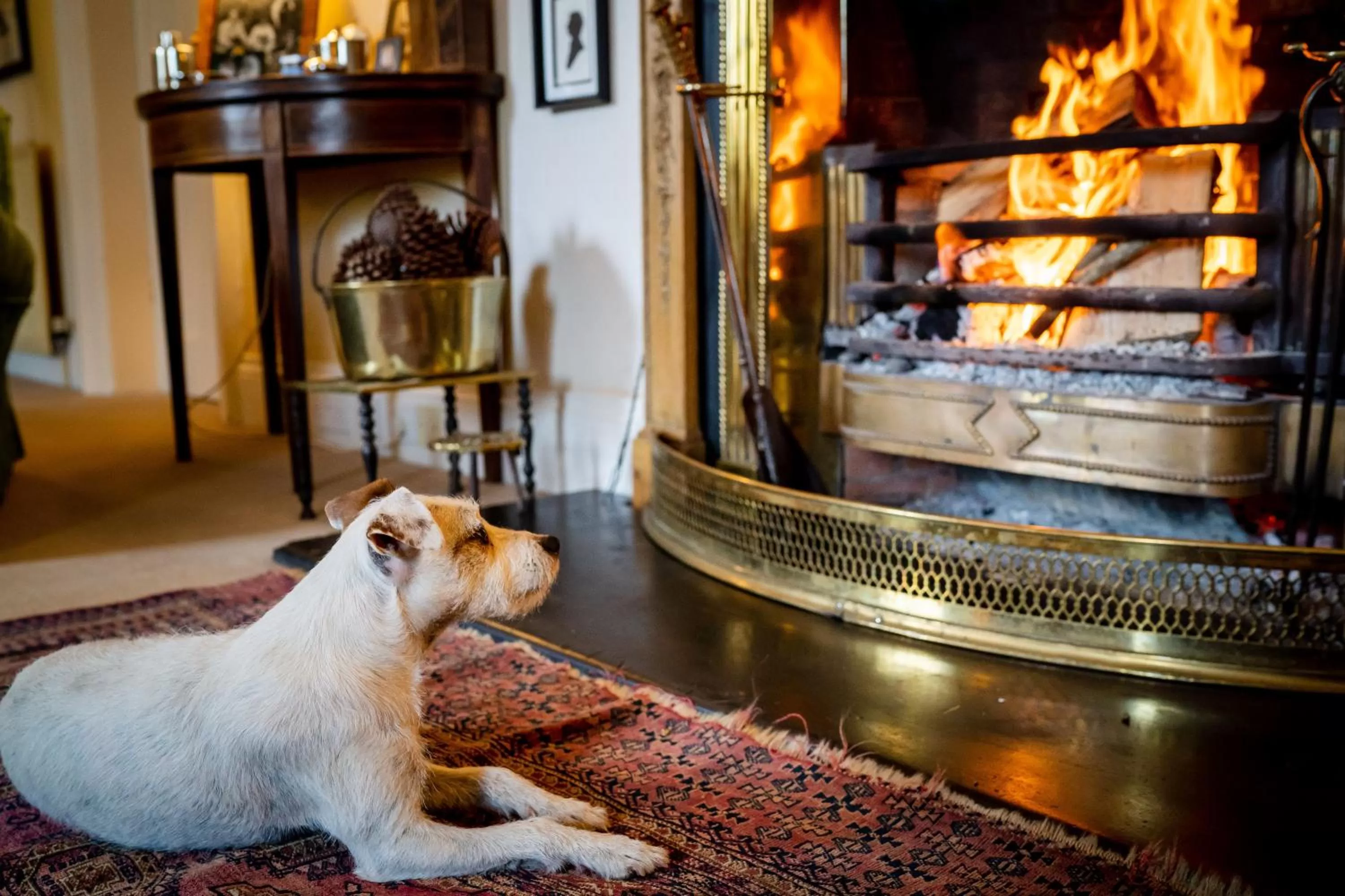 Living room in Ballymote Country House